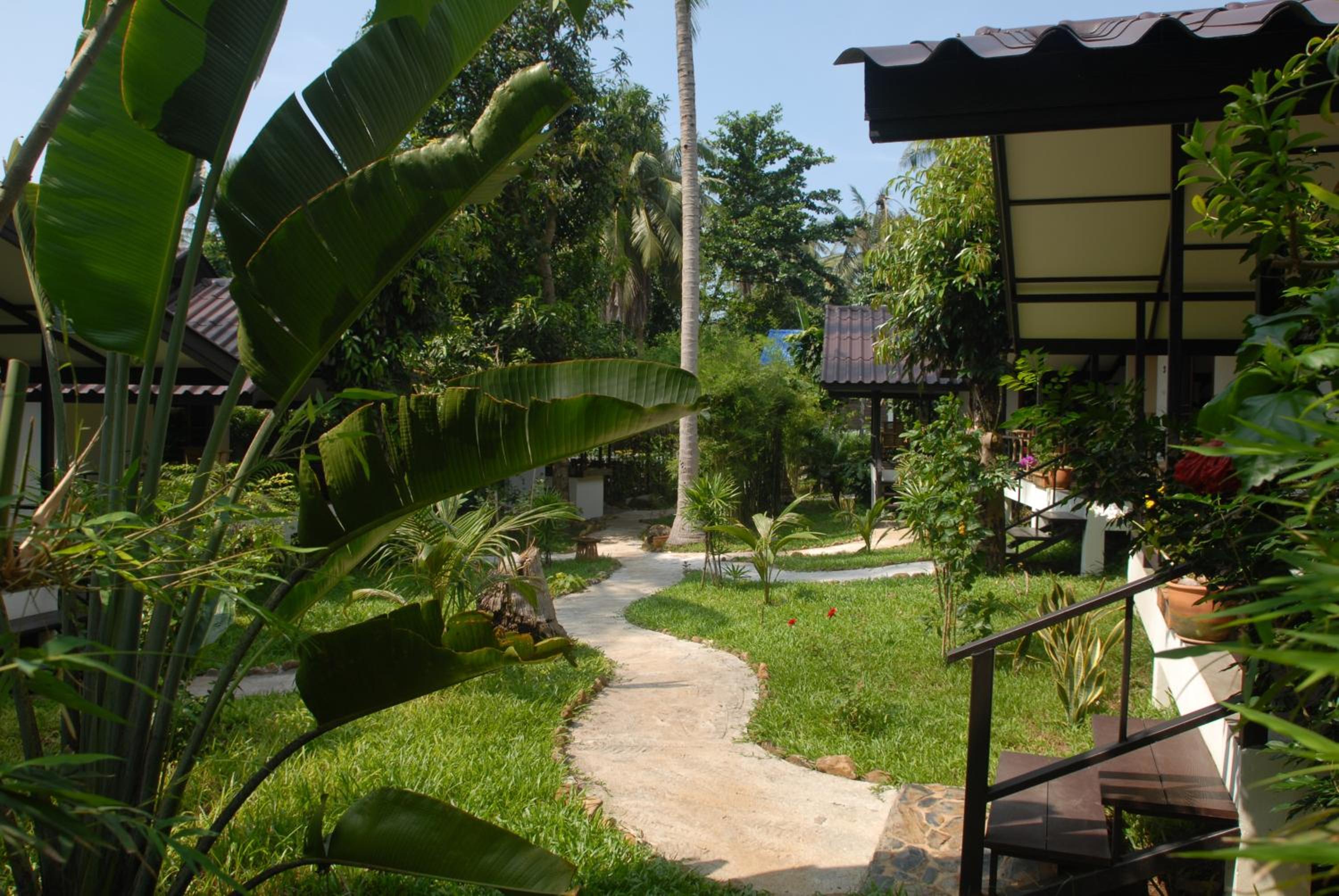 Lucky Gecko Garden view 4