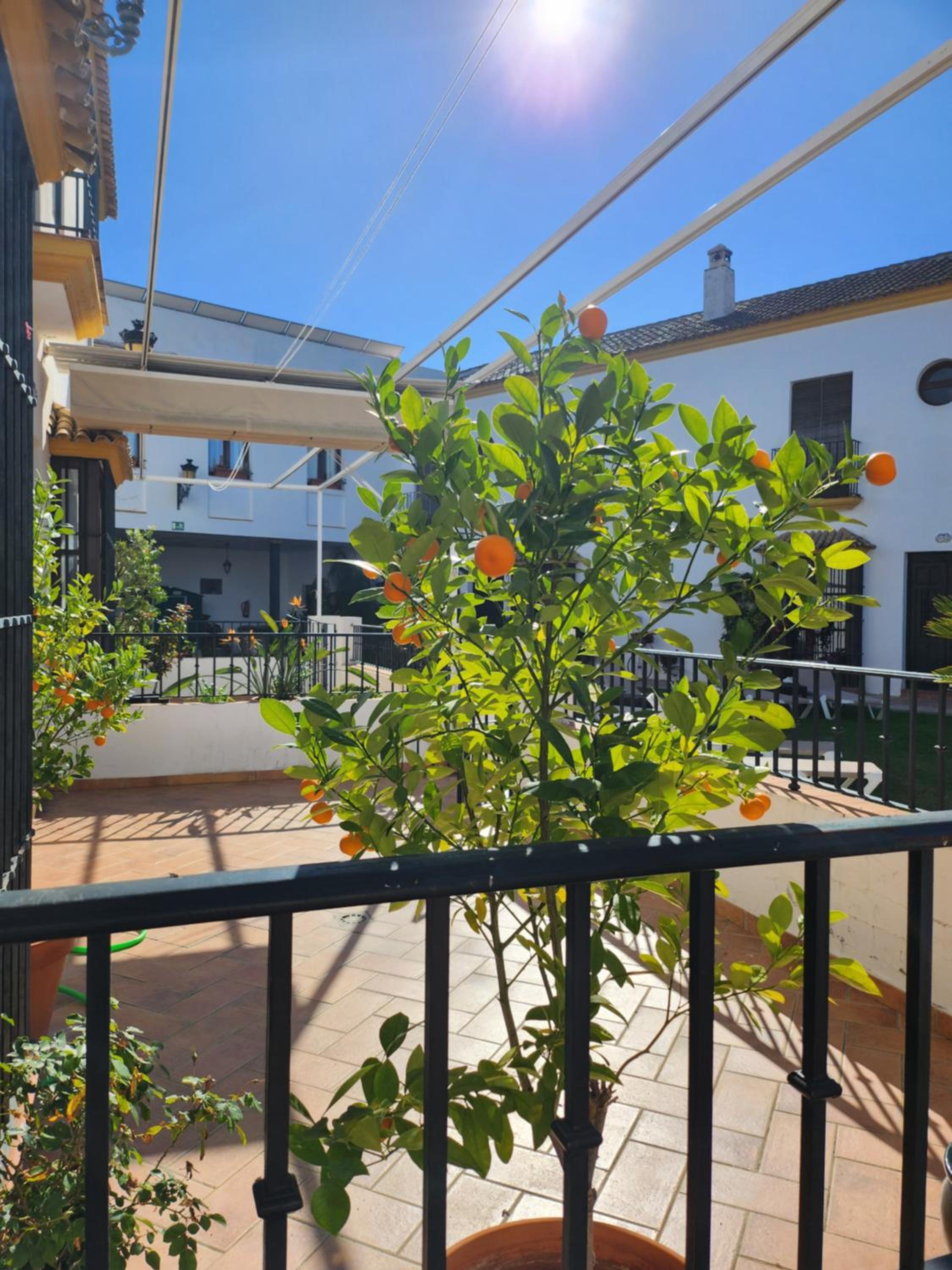 Hacienda Olontigi view 4
