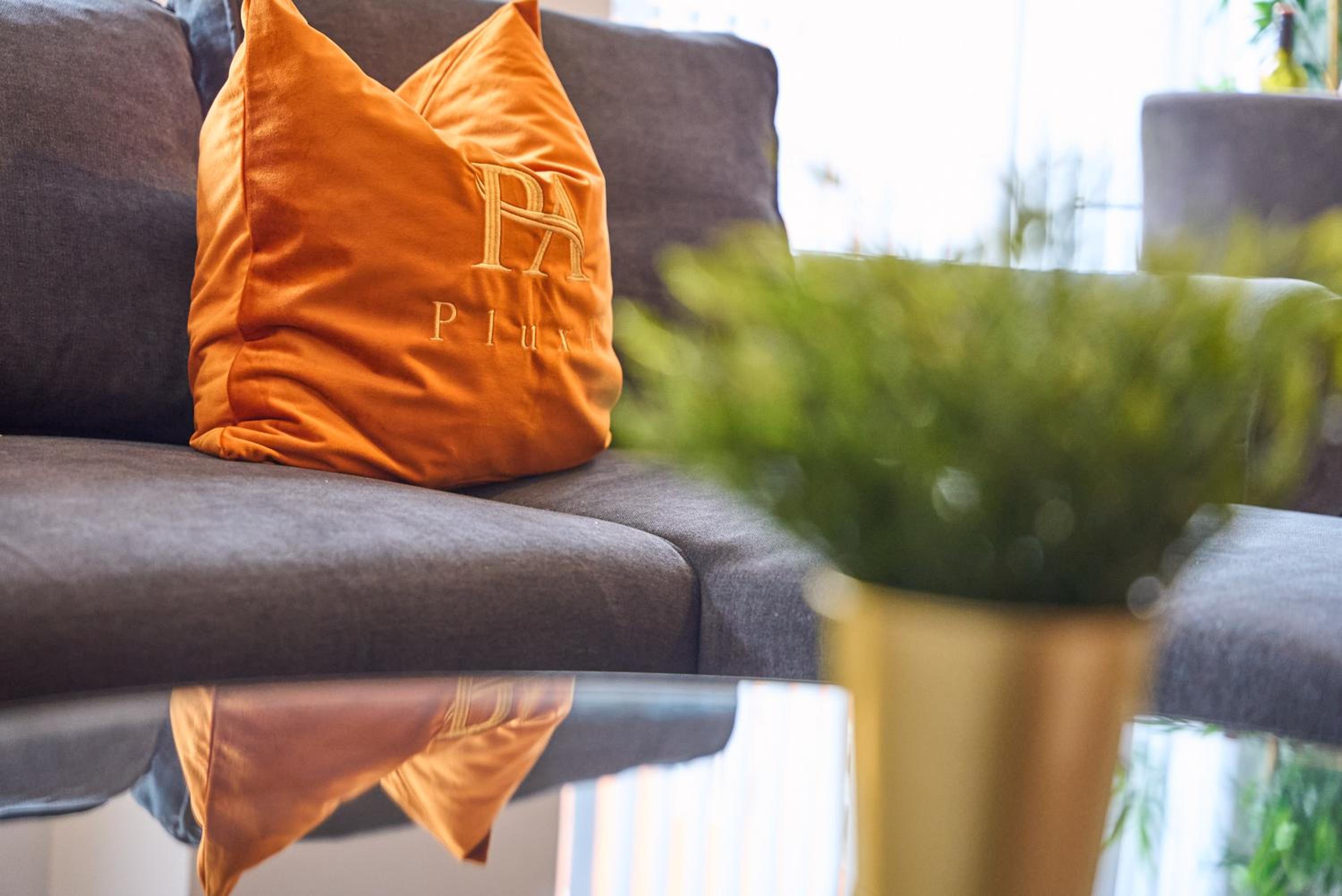 Pluxa Amber view 3