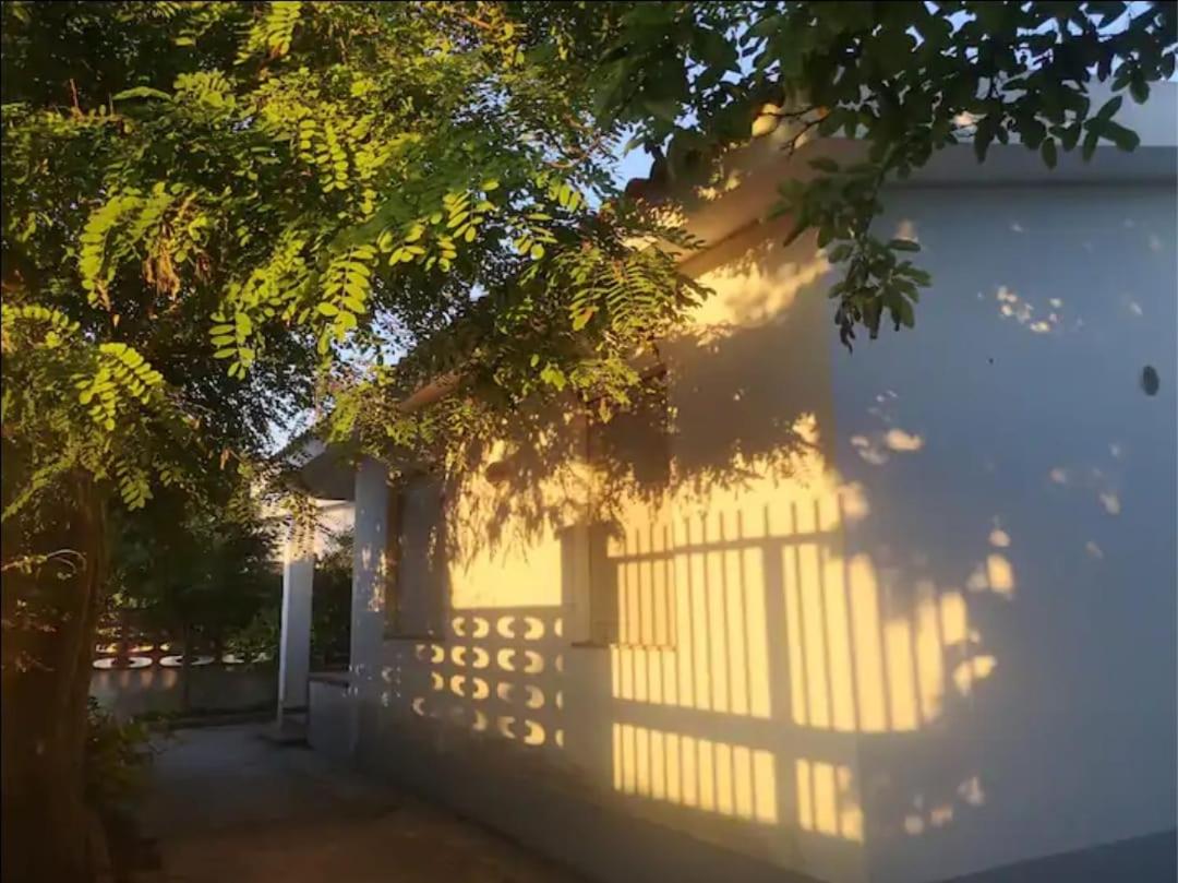 Villa Robinia view 5