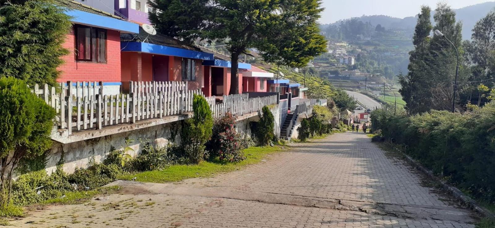 Green County Resort