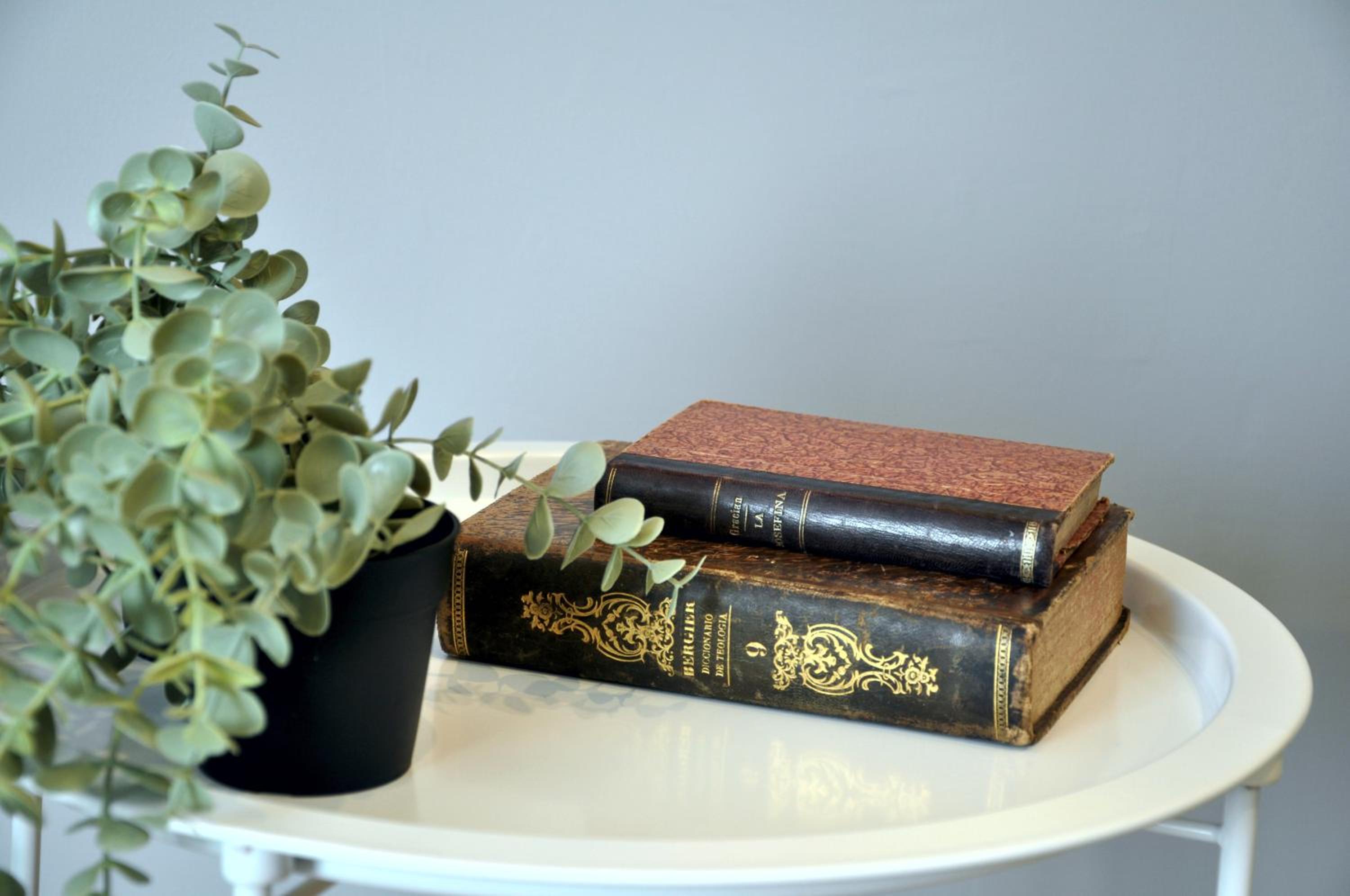 La Casa Verde - Ruzafa