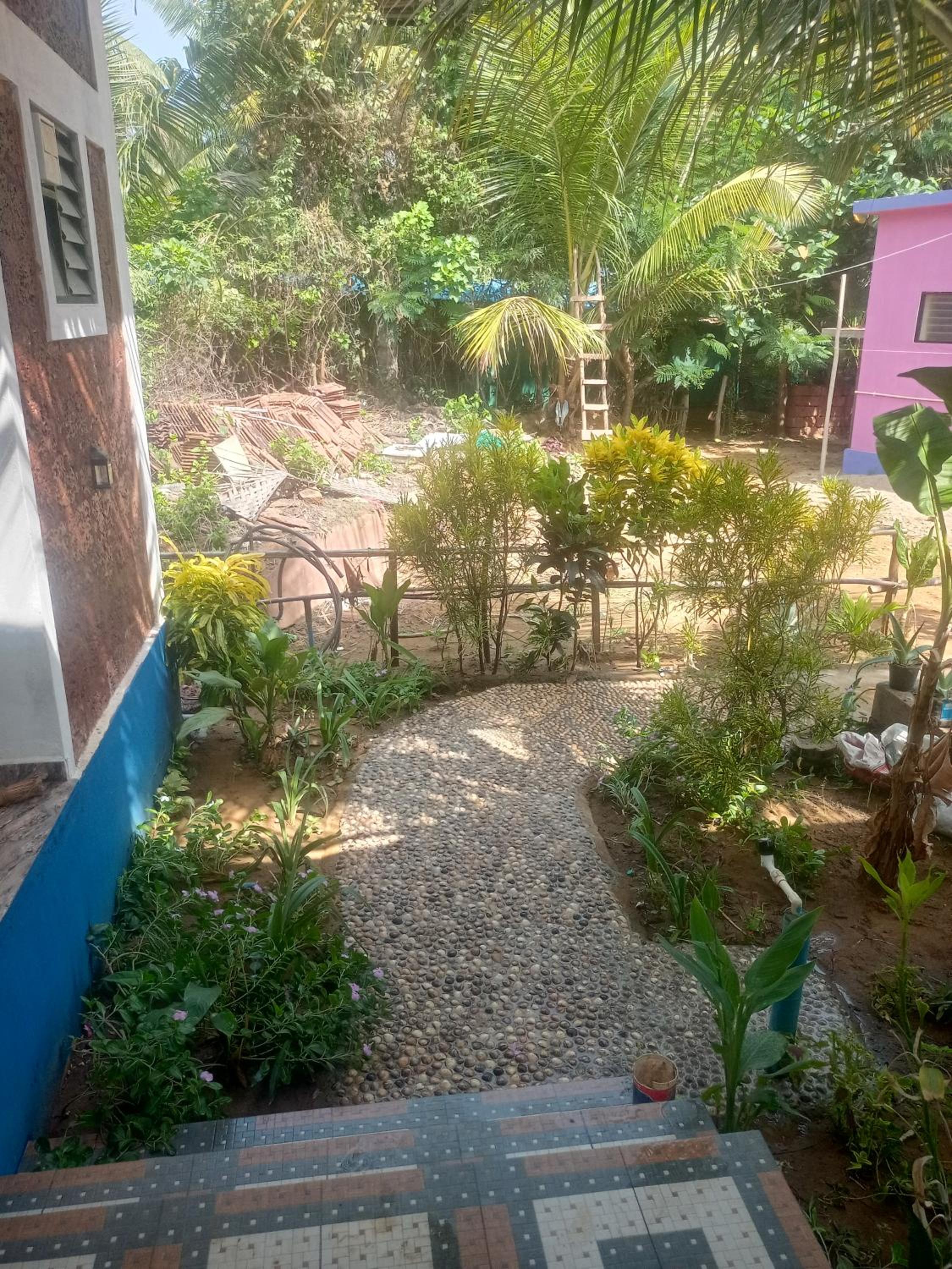 Photo 11