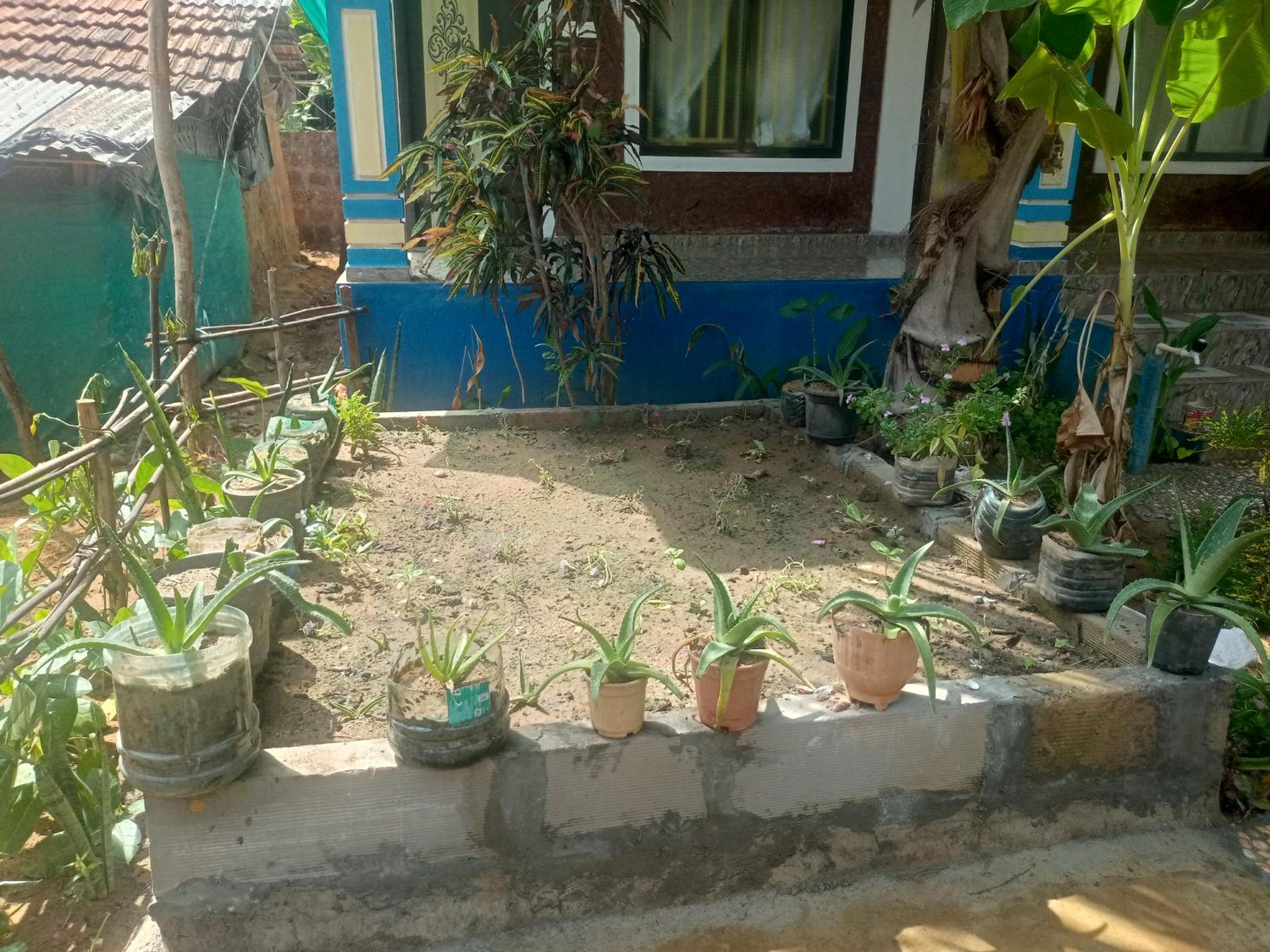 Photo 25