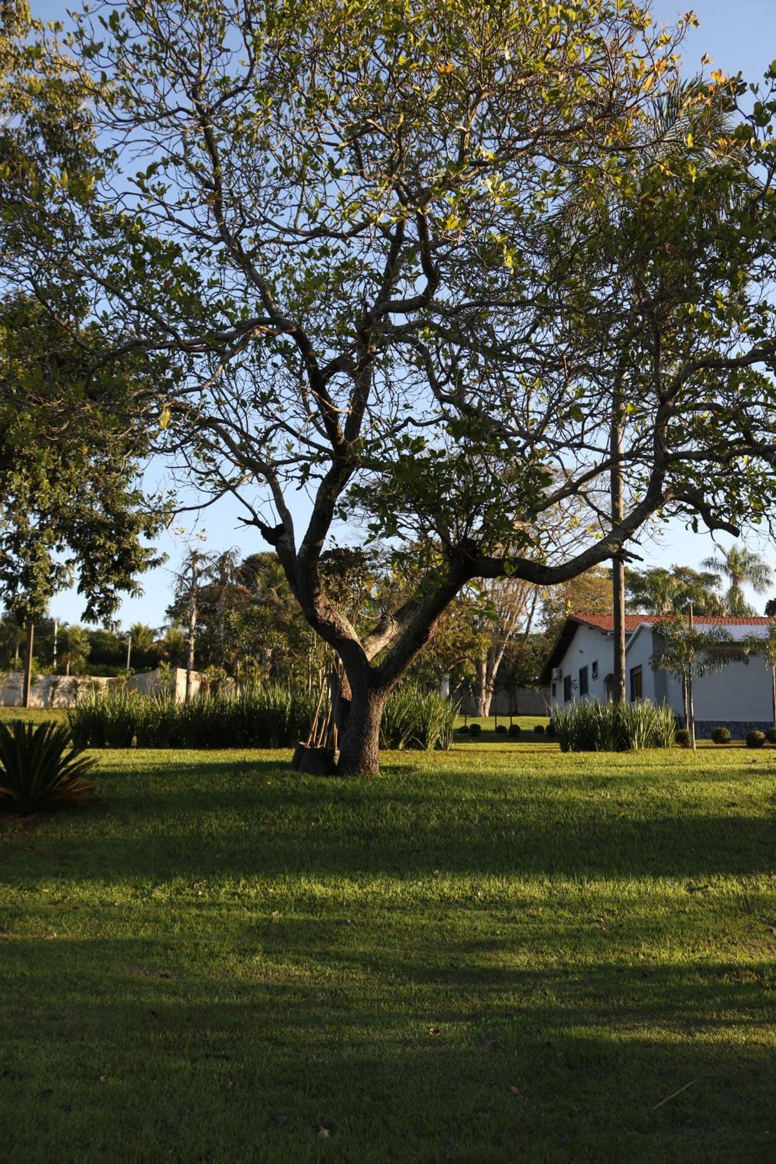 Casa do lago