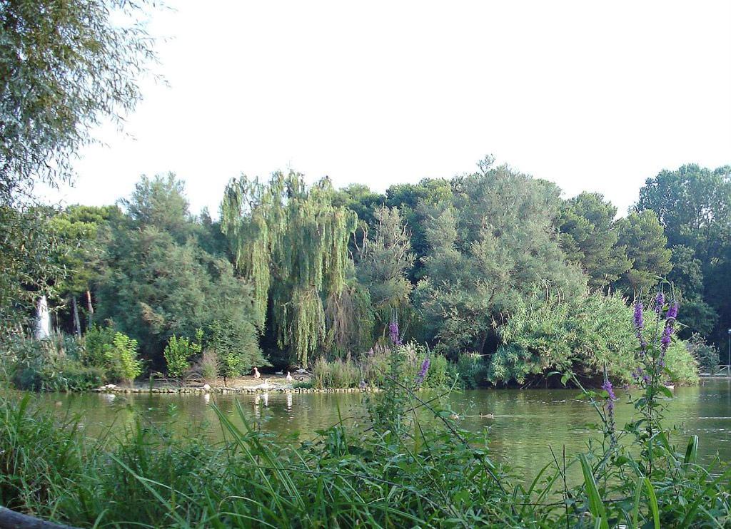Photo 17
