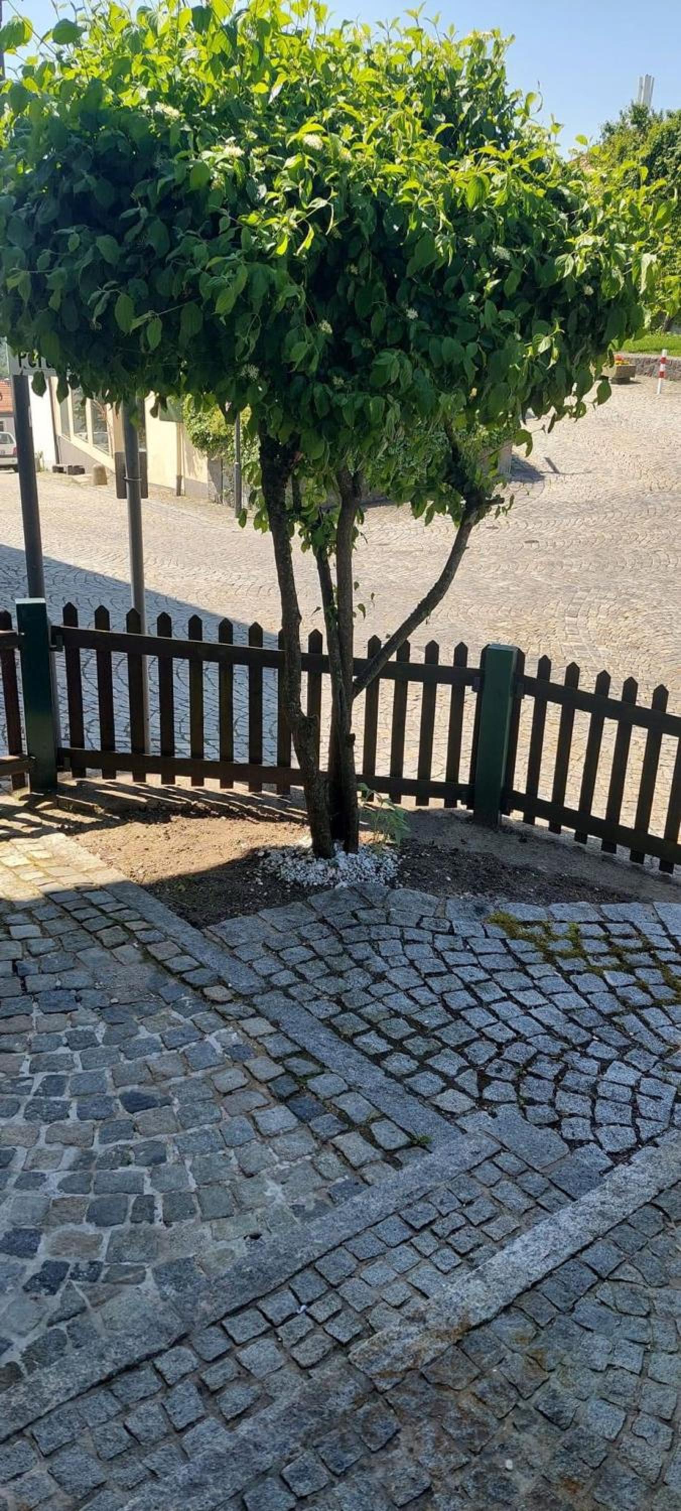Dreiburgen Ferienwohnung Schlossblick