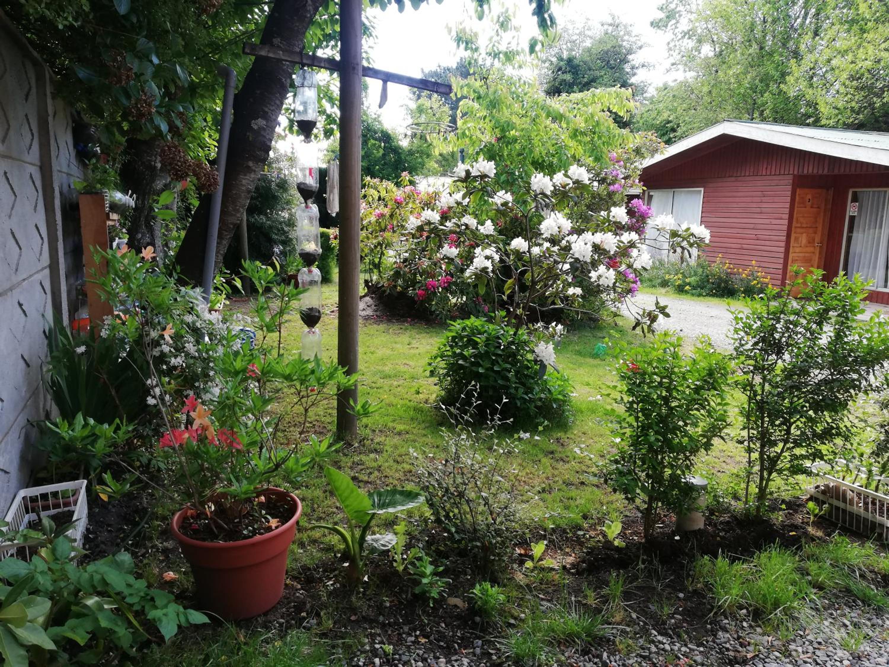 Cabañas Alfa-lihue