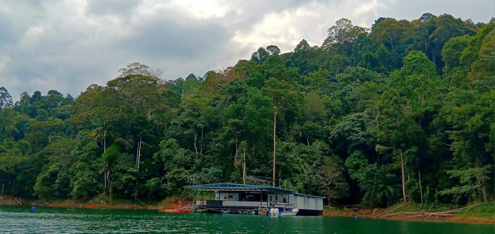 Danga cikgu rumah rakit photo 2