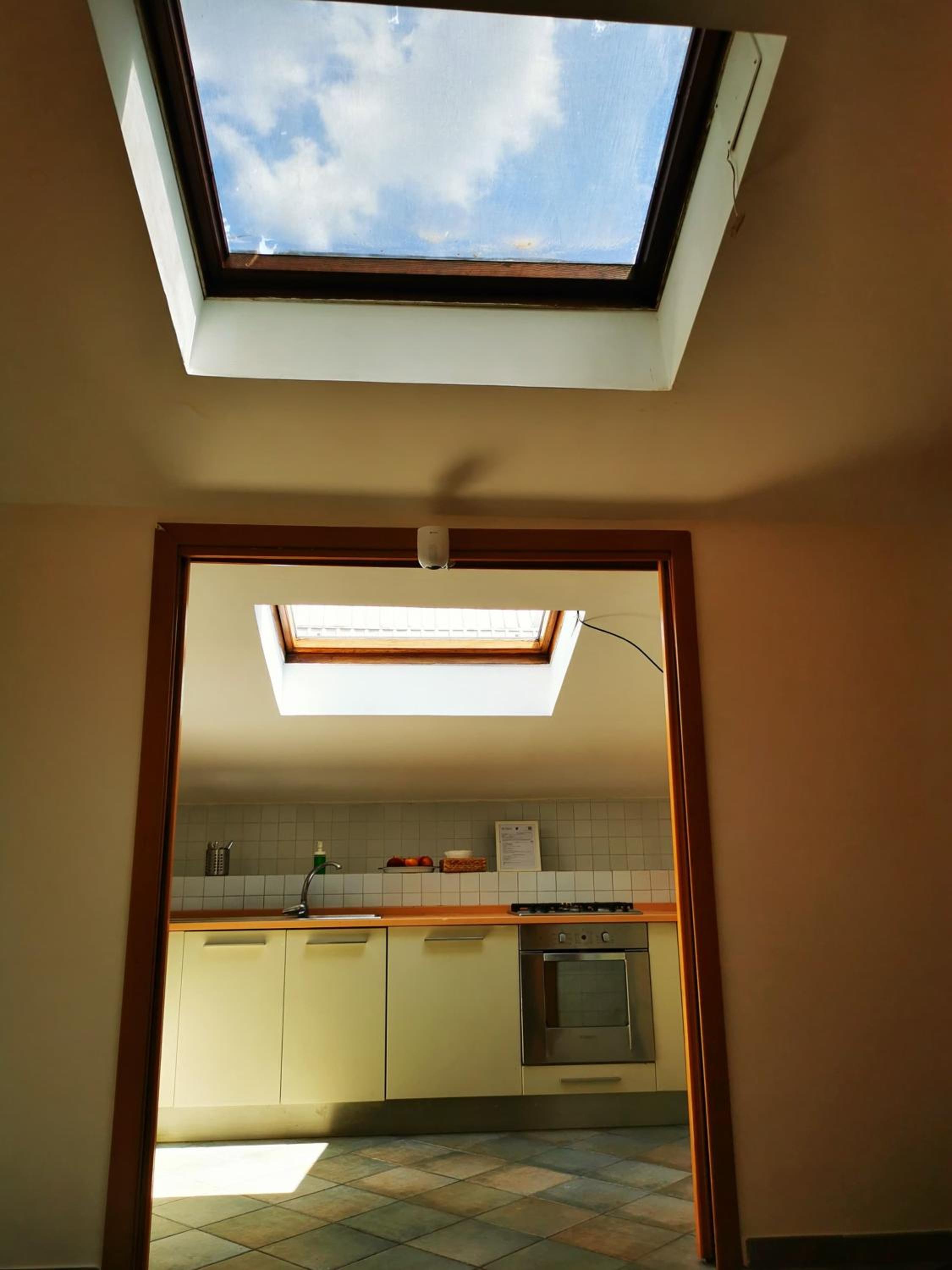Attic Garden