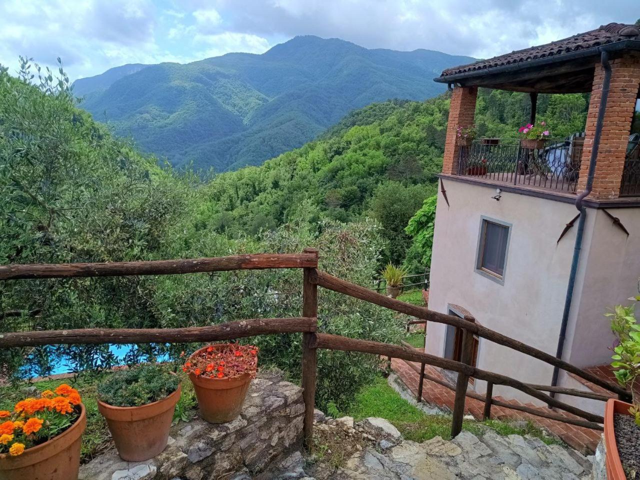 Vicinato Homestead