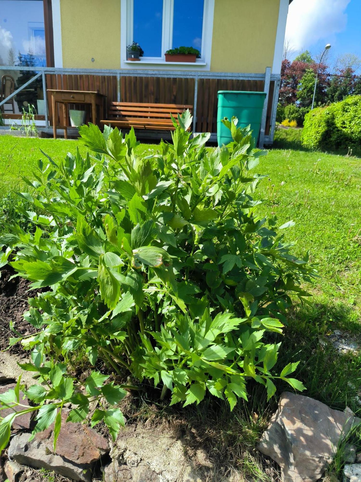 Photo 31