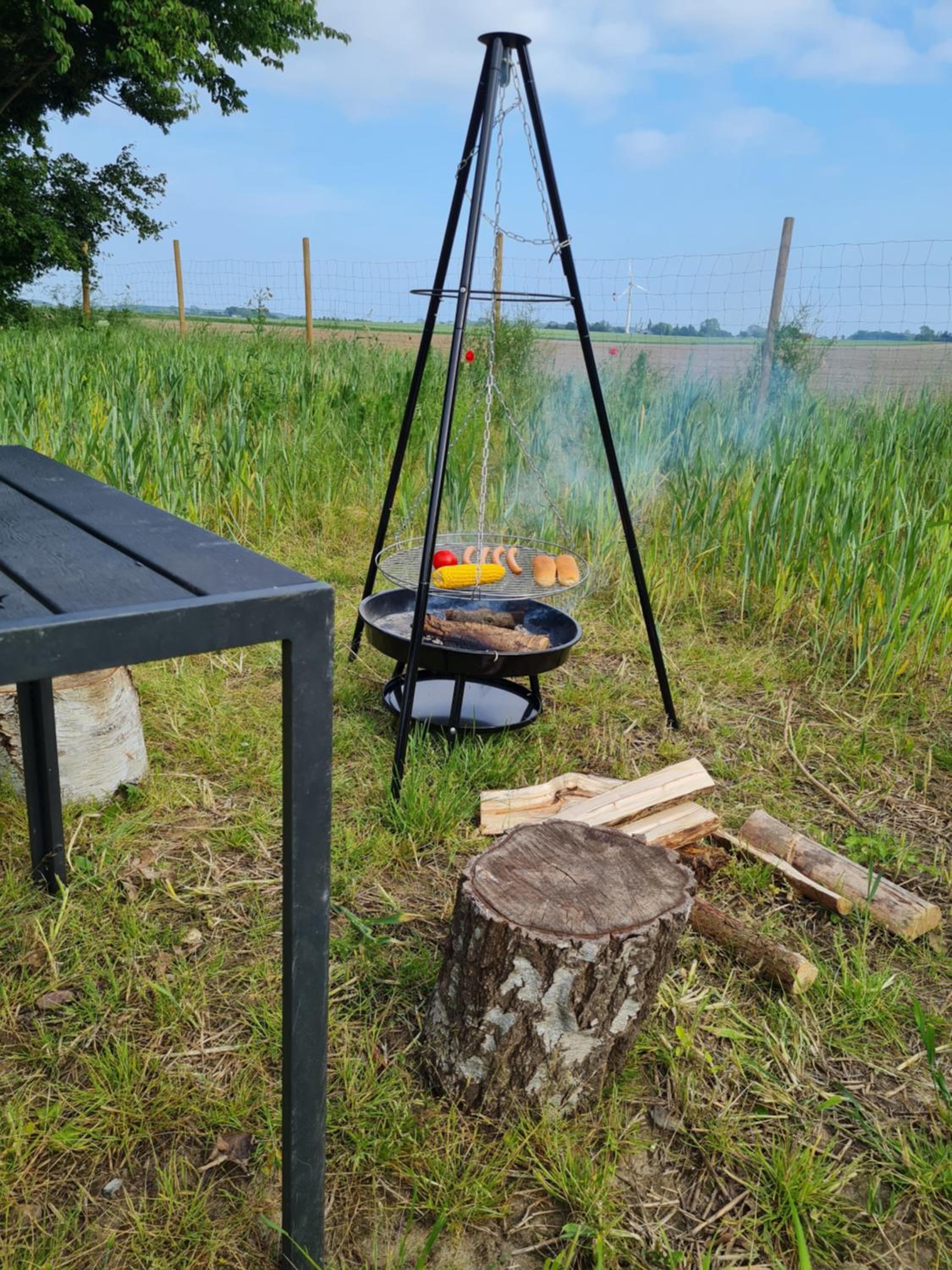 Naturlig Viis