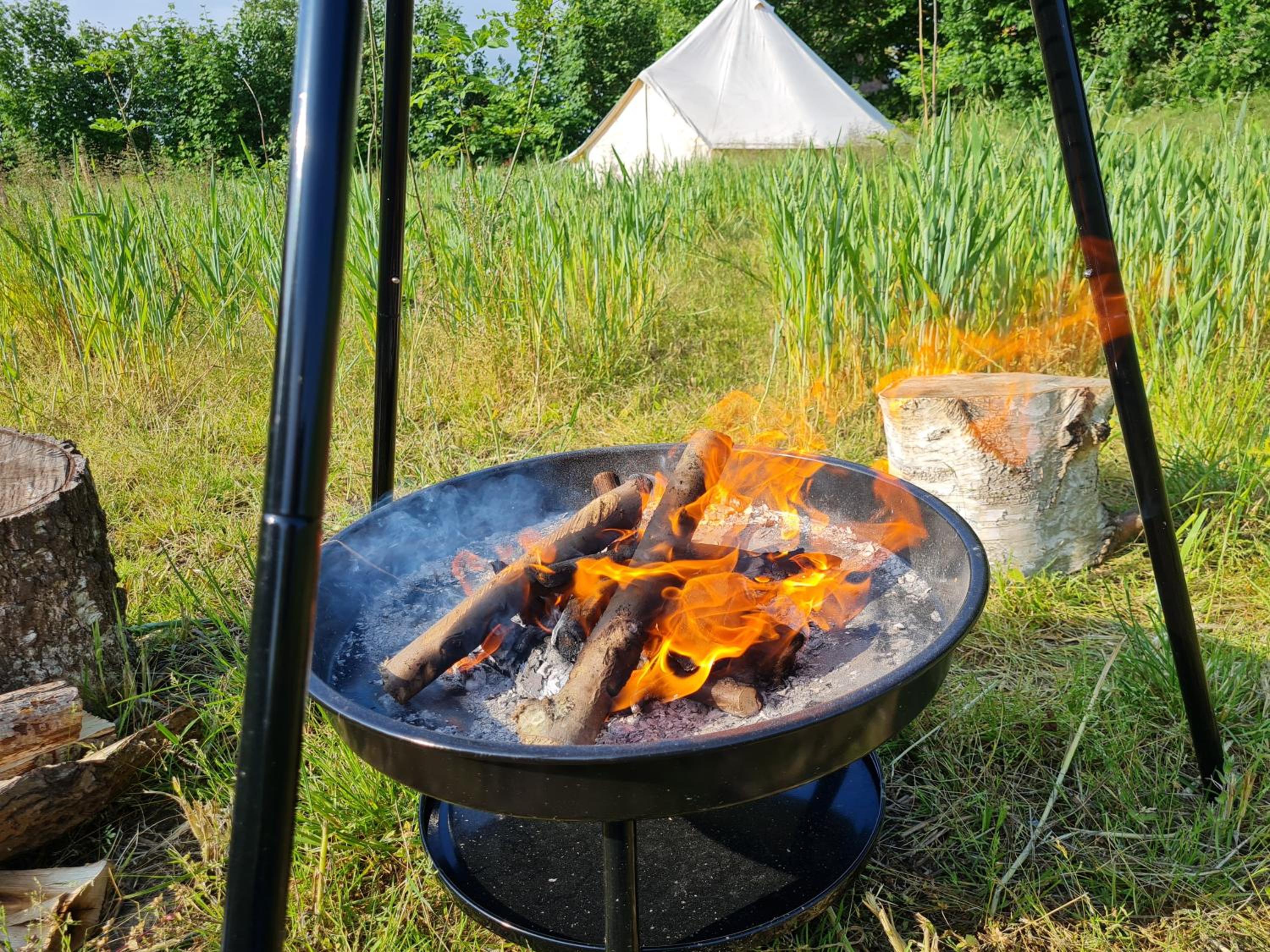 Naturlig Viis