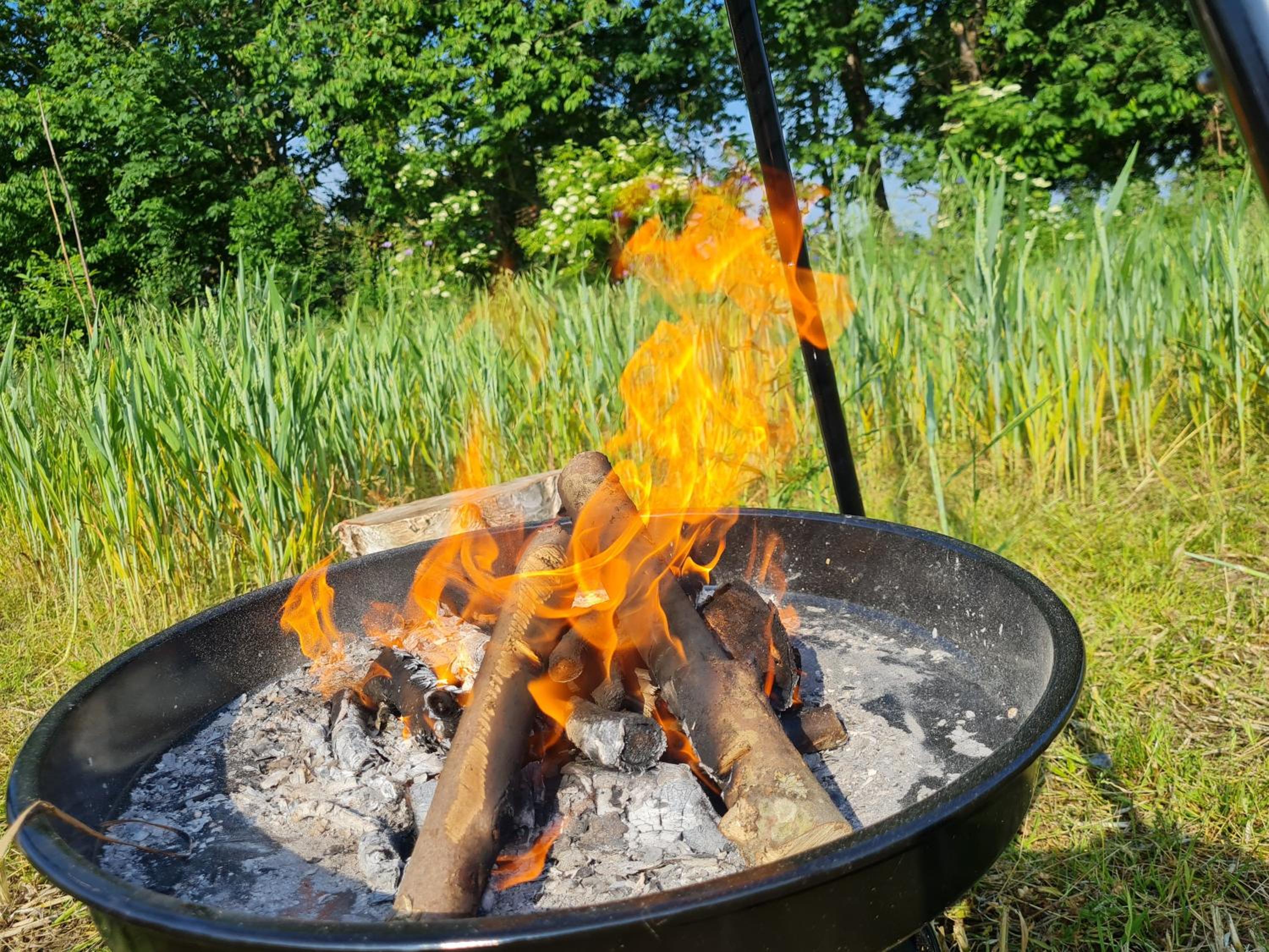 Naturlig Viis
