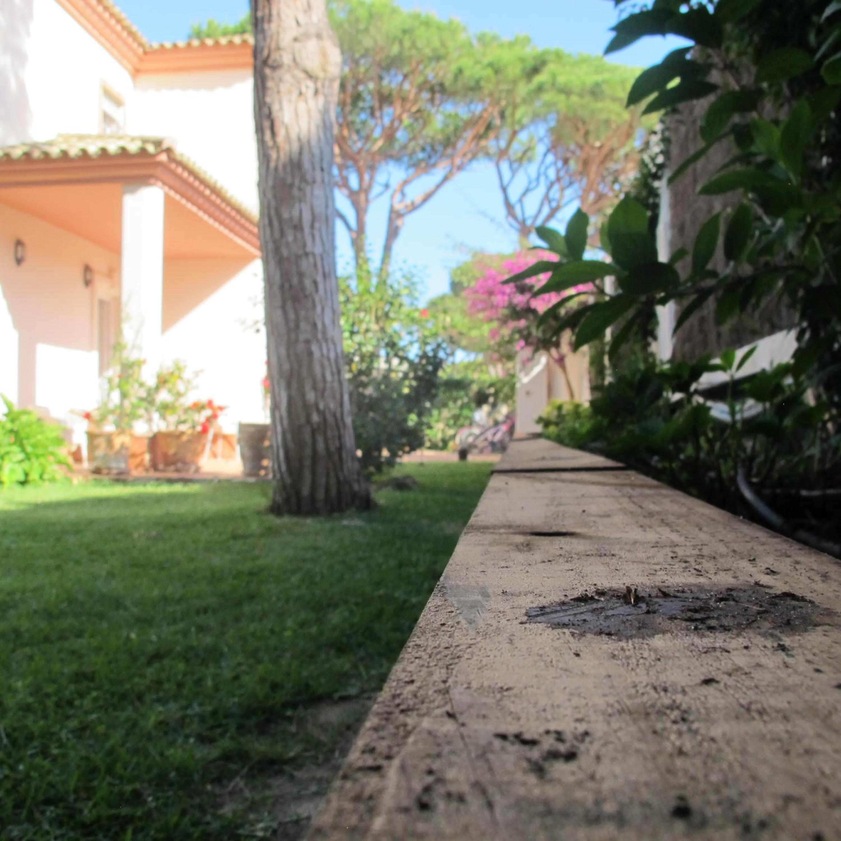 Villa Alegría