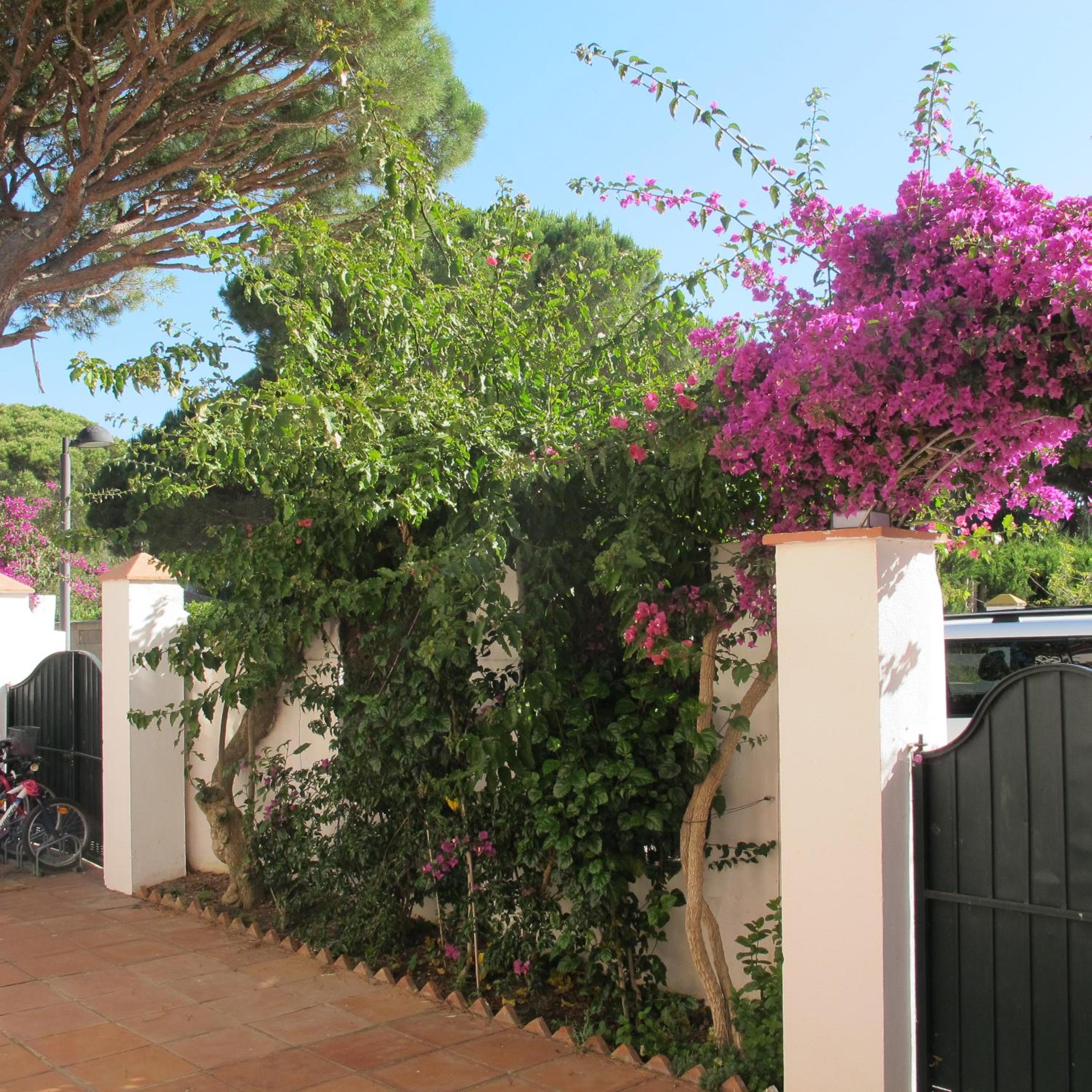 Villa Alegría