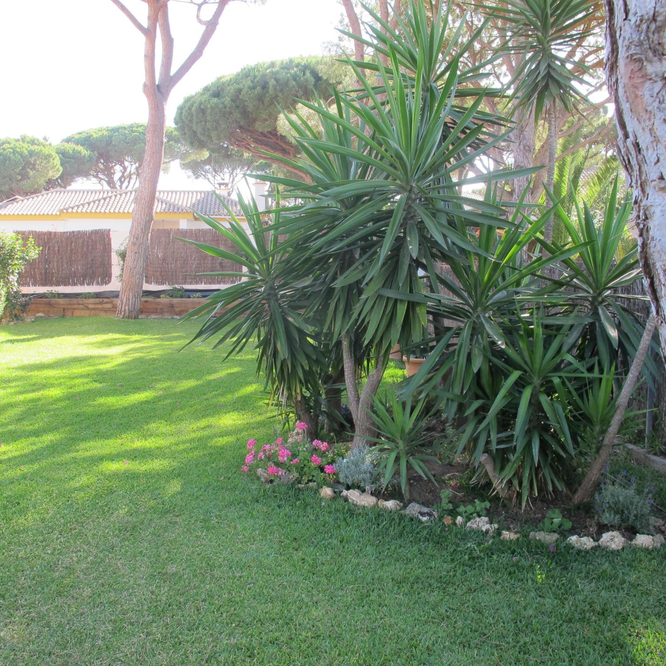 Villa Alegría