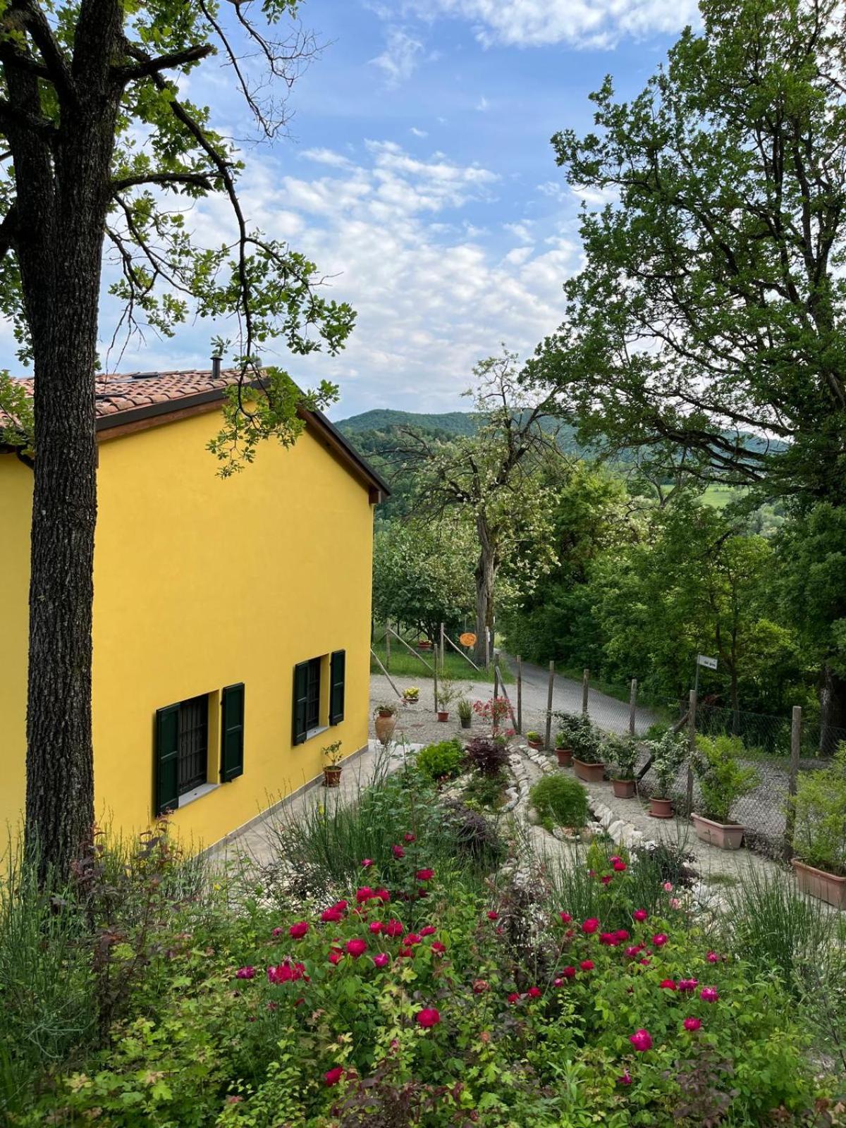 Luci nel Bosco B&B view 2