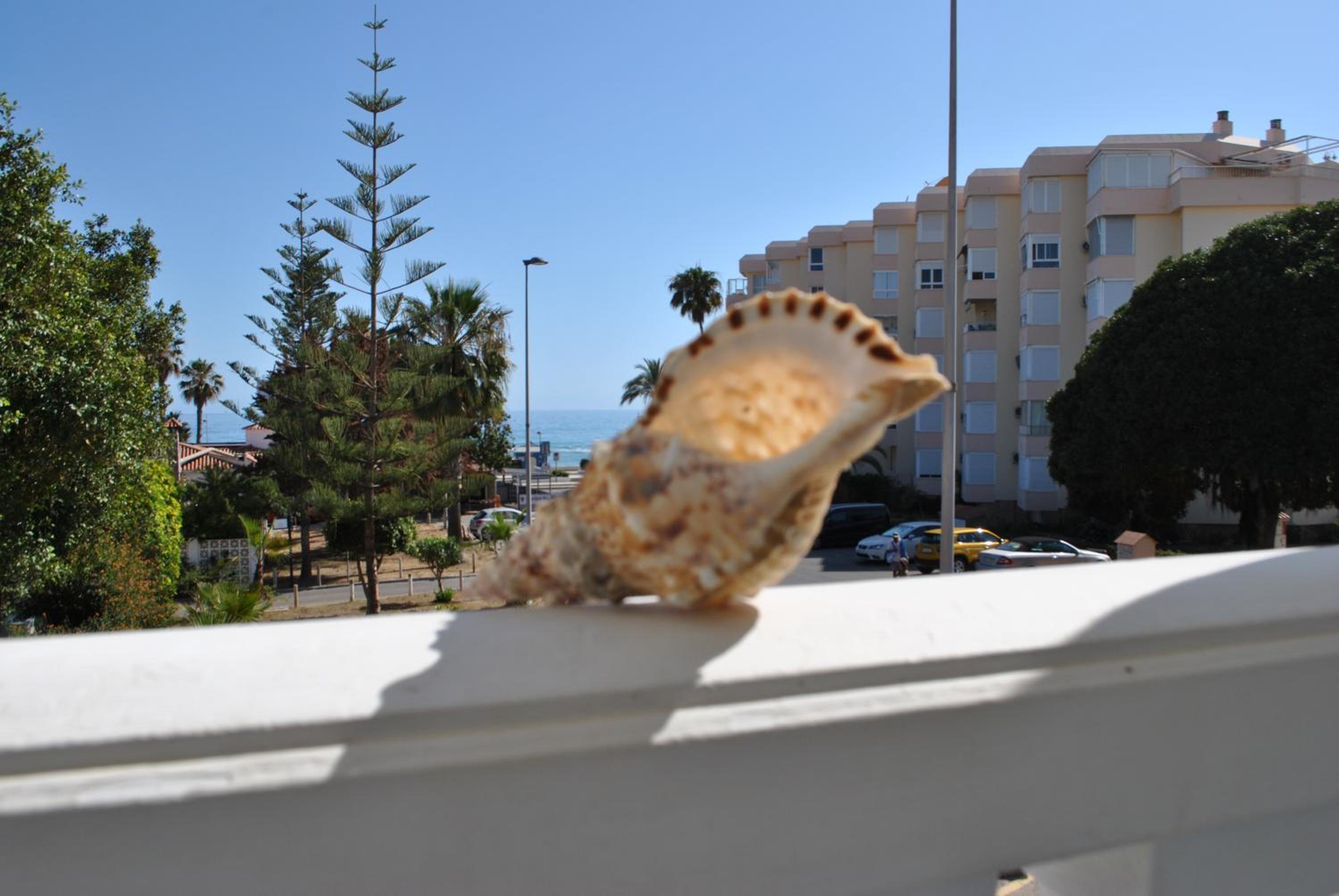 Torrox Beach