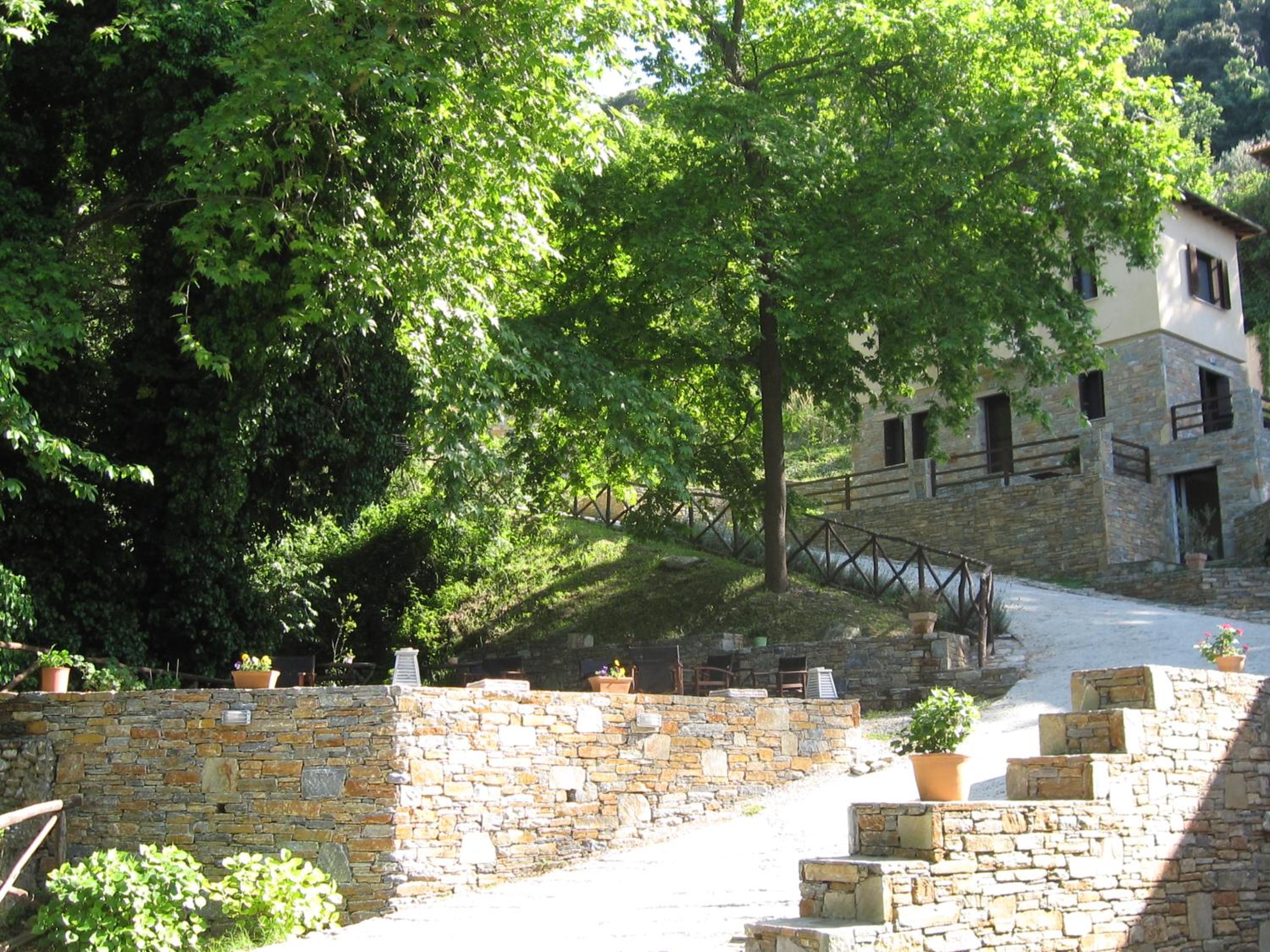 Vergopoulos Oliveyard