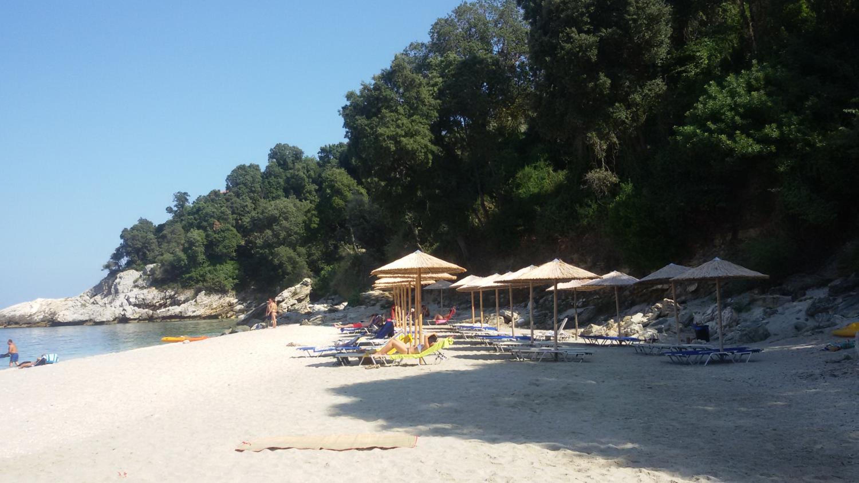 Vergopoulos Oliveyard
