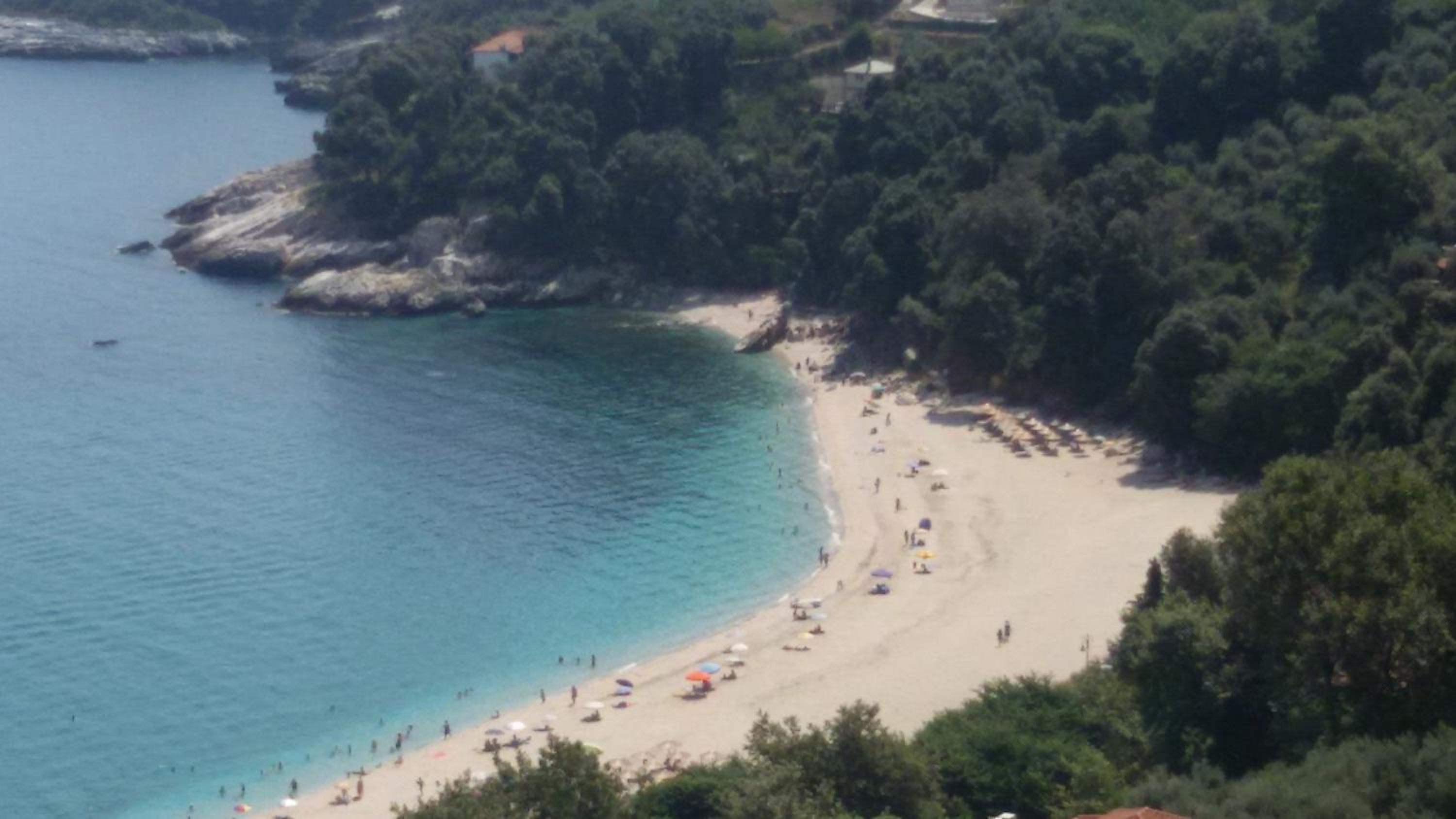 Vergopoulos Oliveyard