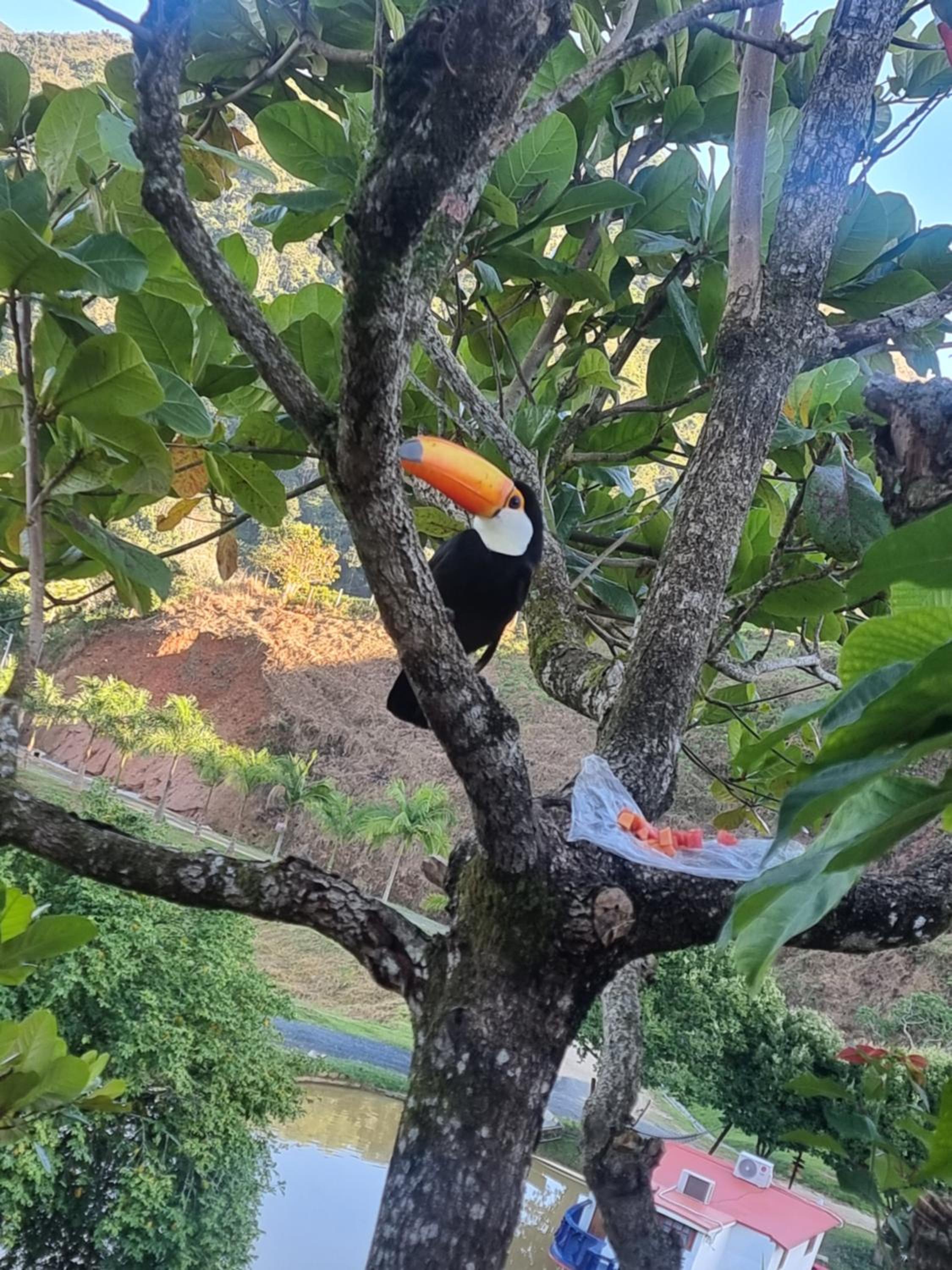 Chalé Tucano Recanto Buscapé SFX