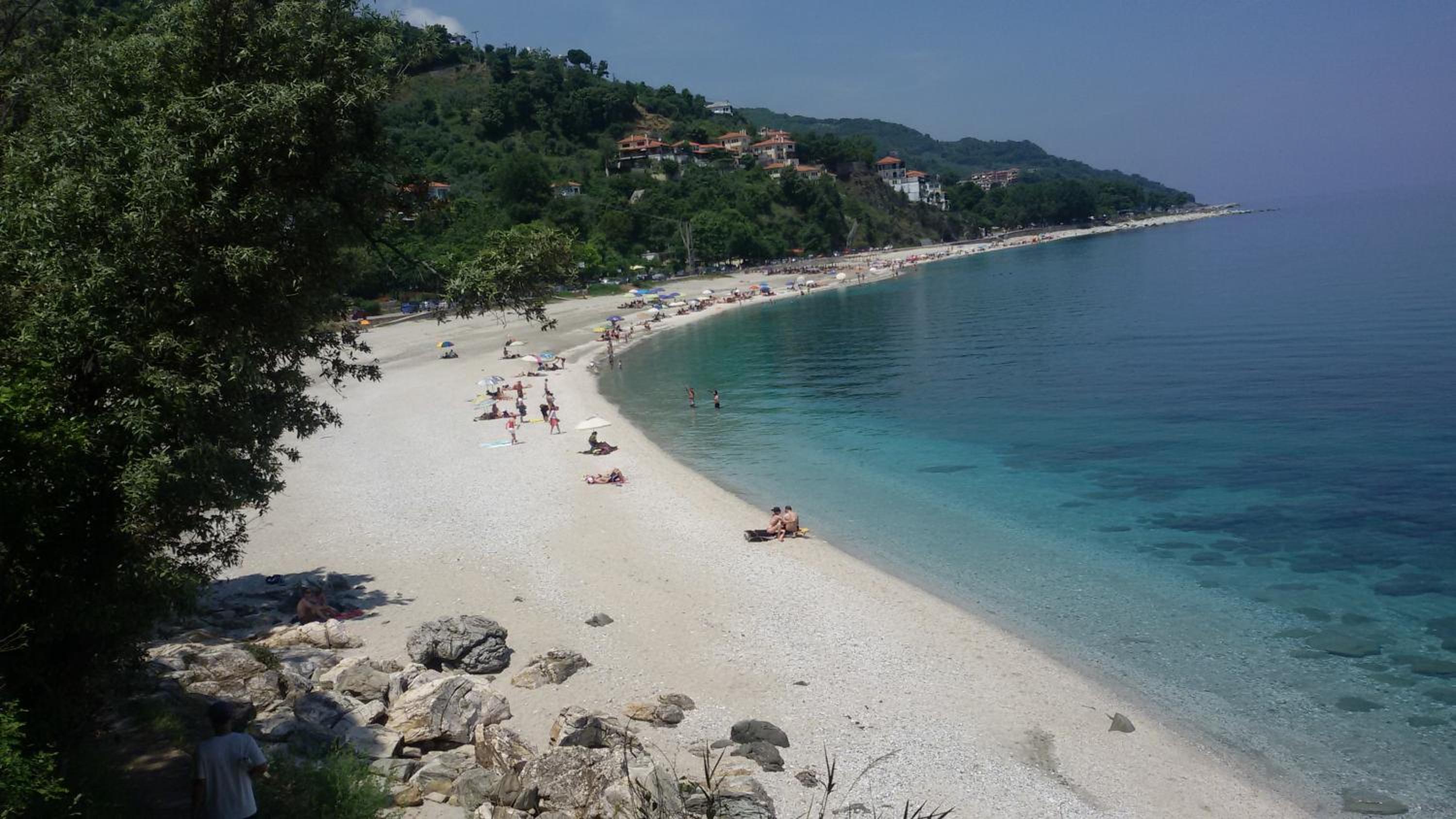 Vergopoulos Oliveyard