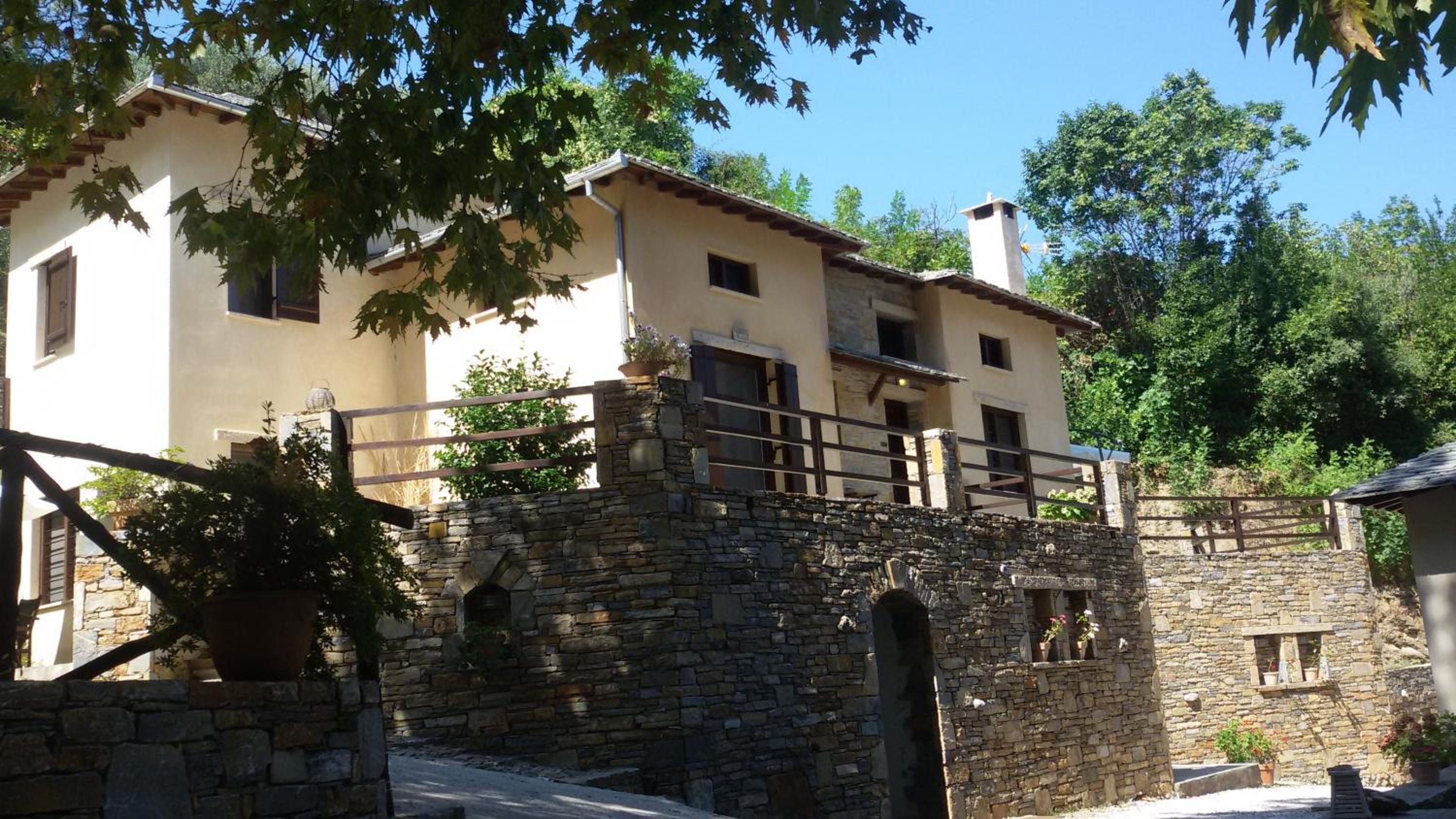 Vergopoulos Oliveyard