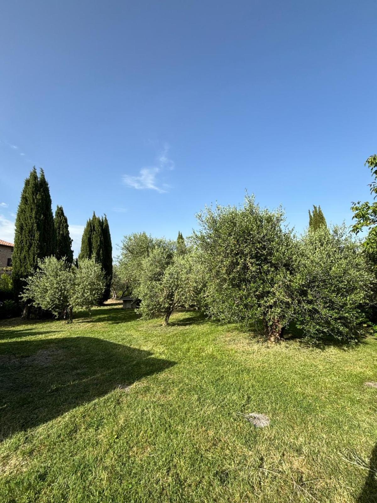 casale Marabissi