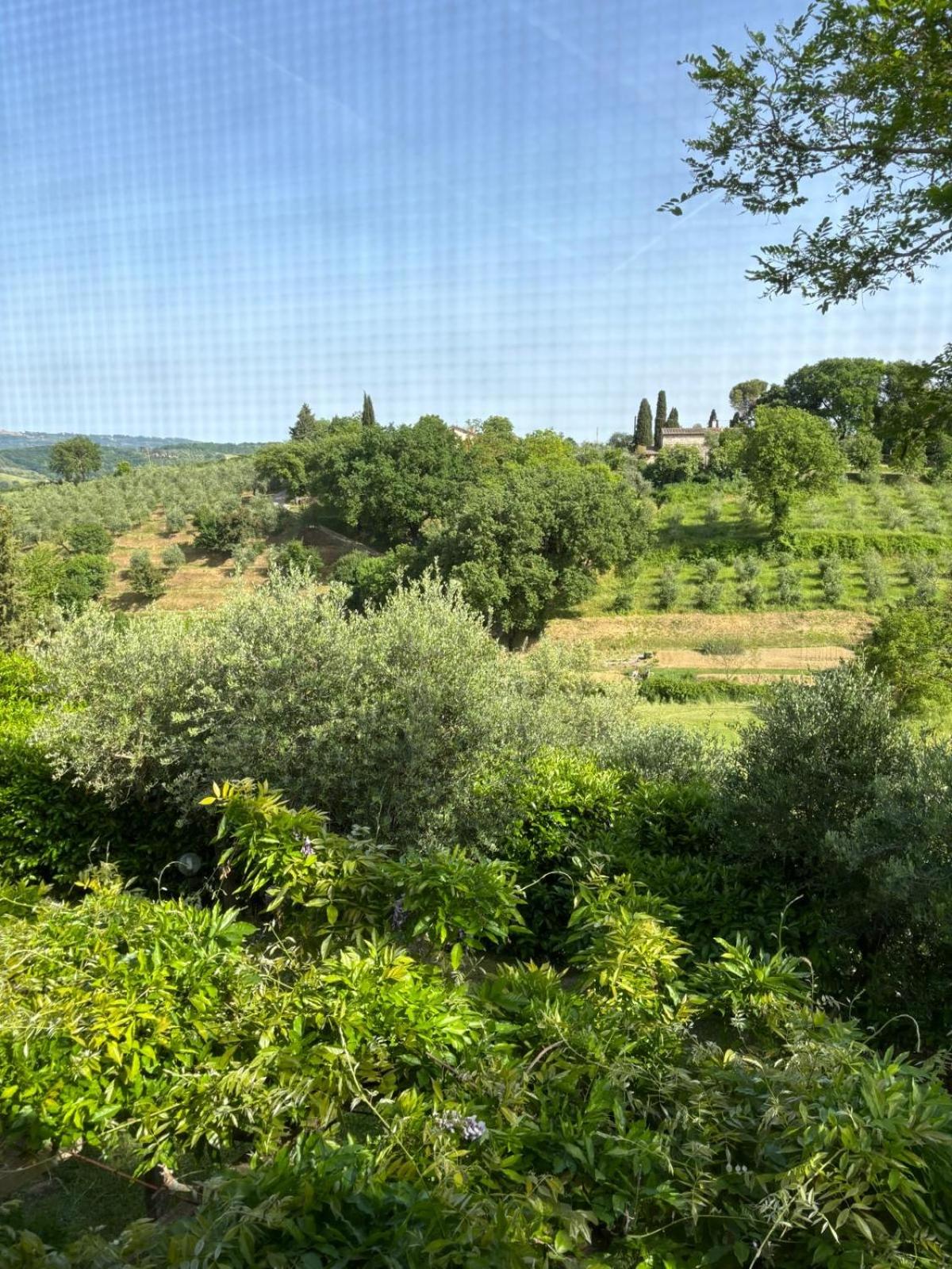 casale Marabissi