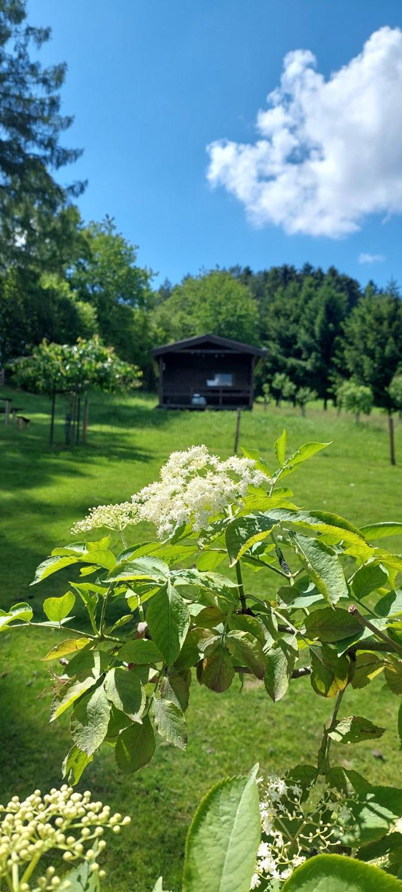 Chata na samotě, Šumava