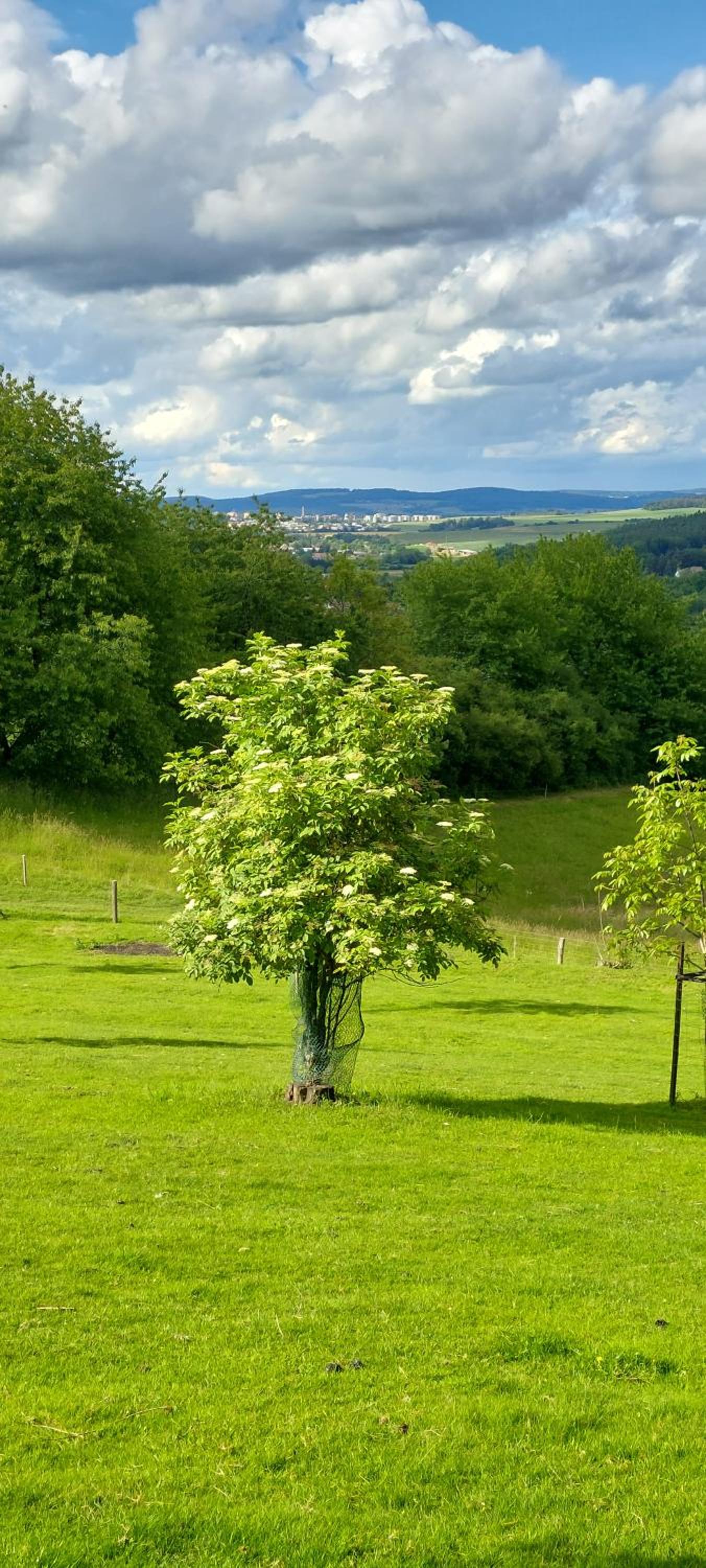 Chata na samotě, Šumava