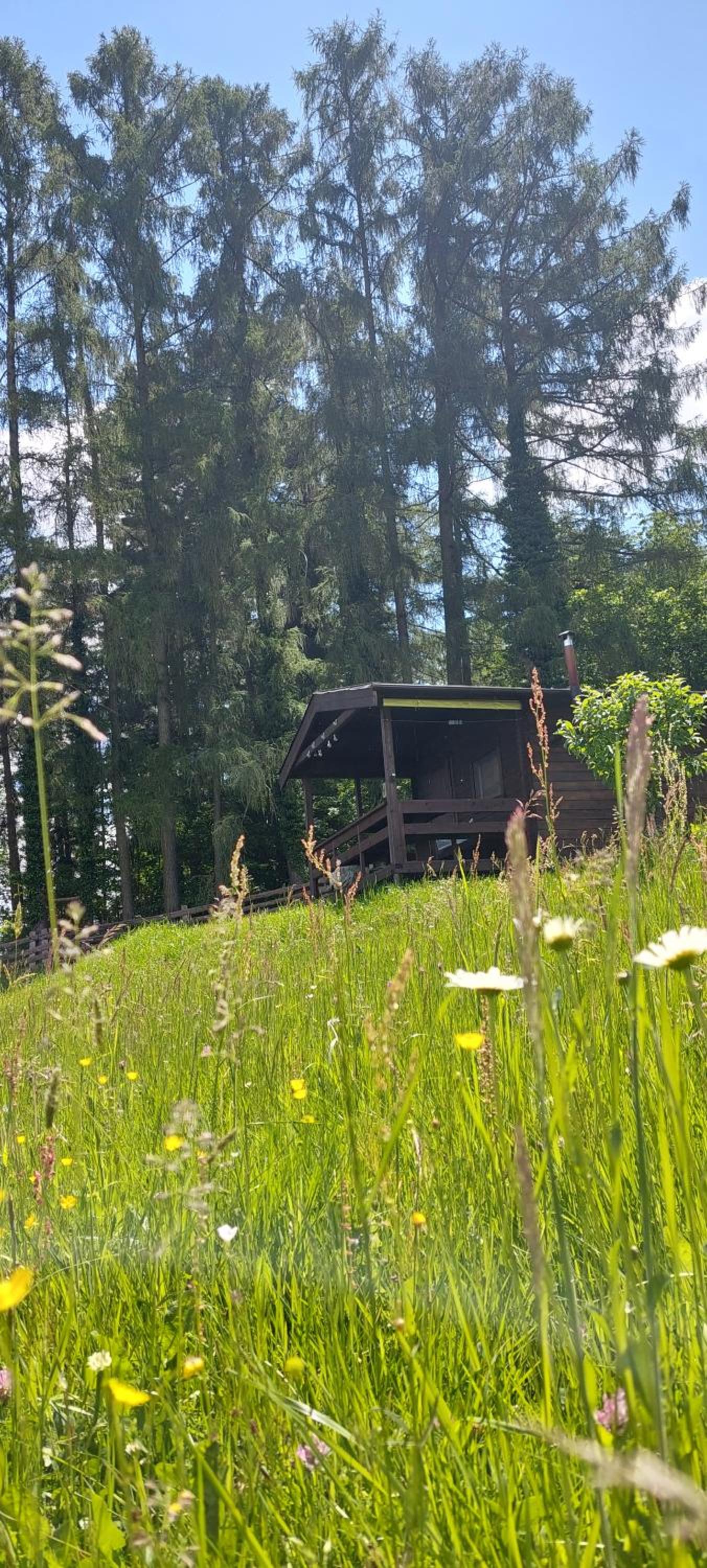 Chata na samotě, Šumava