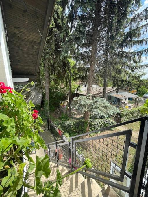 Jezero apartment