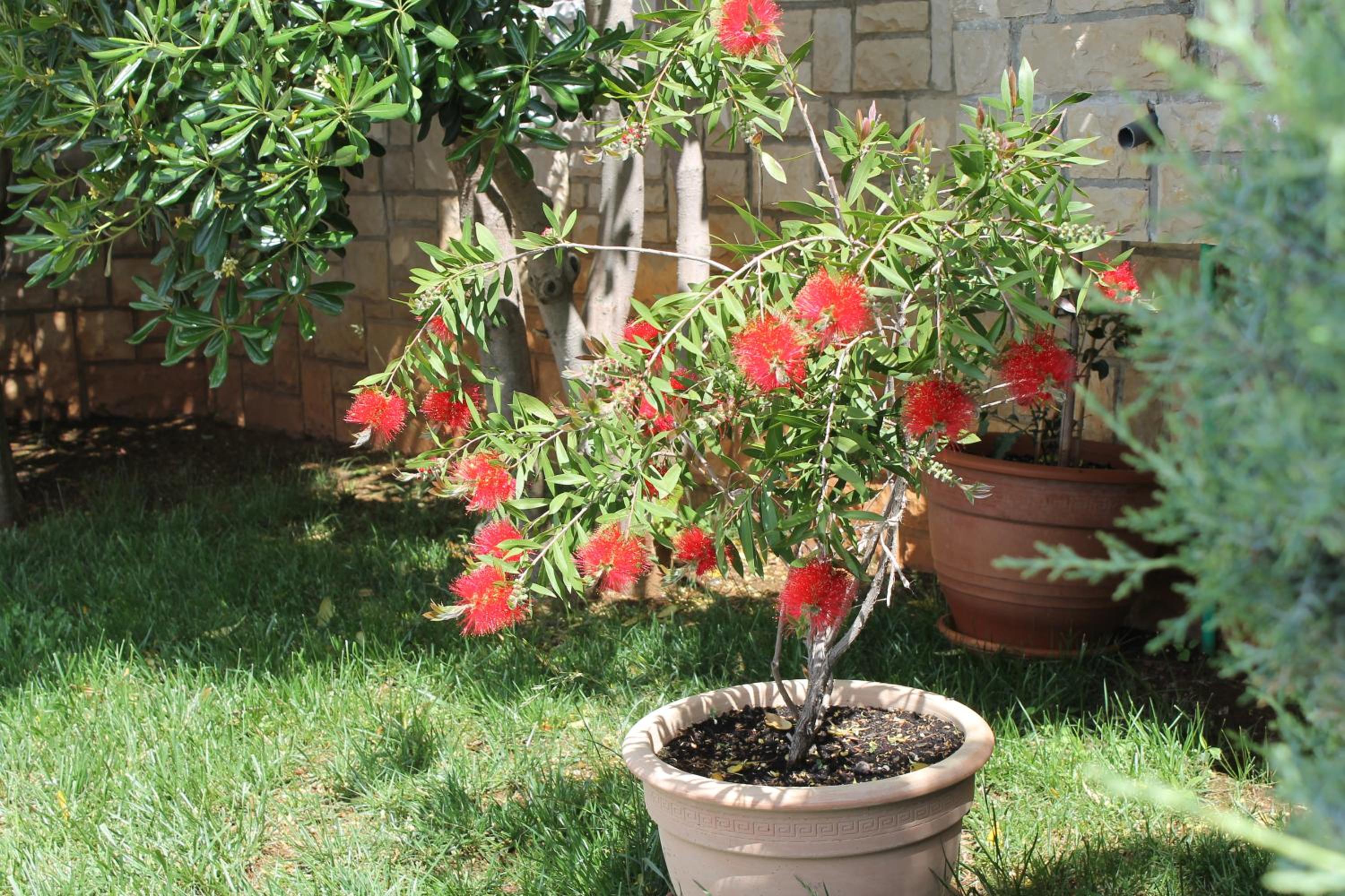 Photo 22