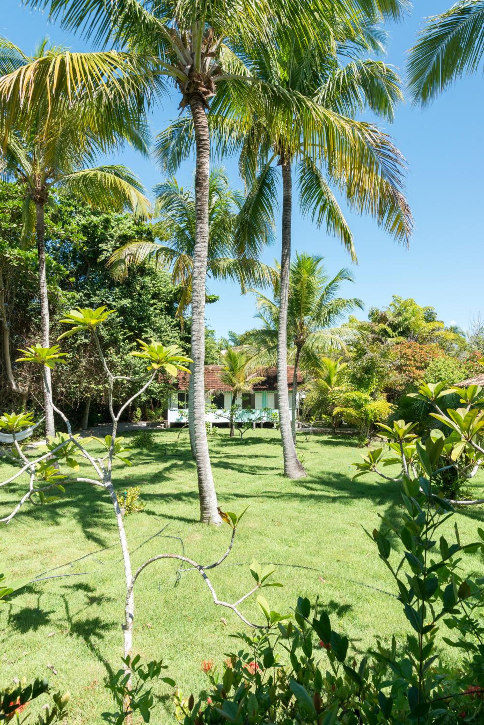 Fazenda Pranchão