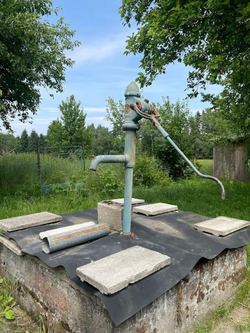 Dráždní domek na samotě u lesa