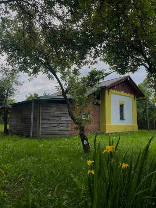 Dráždní domek na samotě u lesa