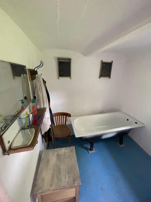 Dráždní domek na samotě u lesa