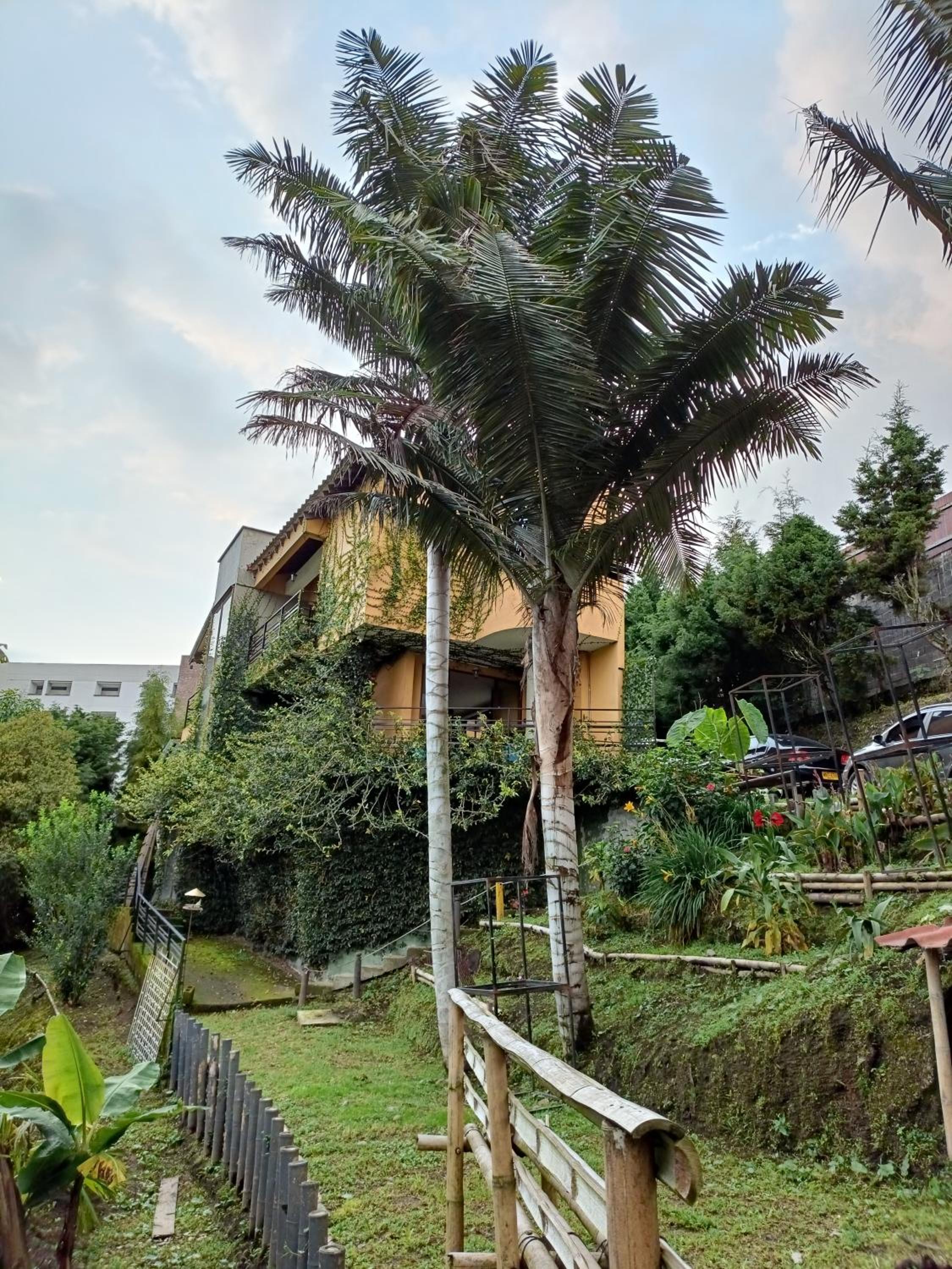 CasaView