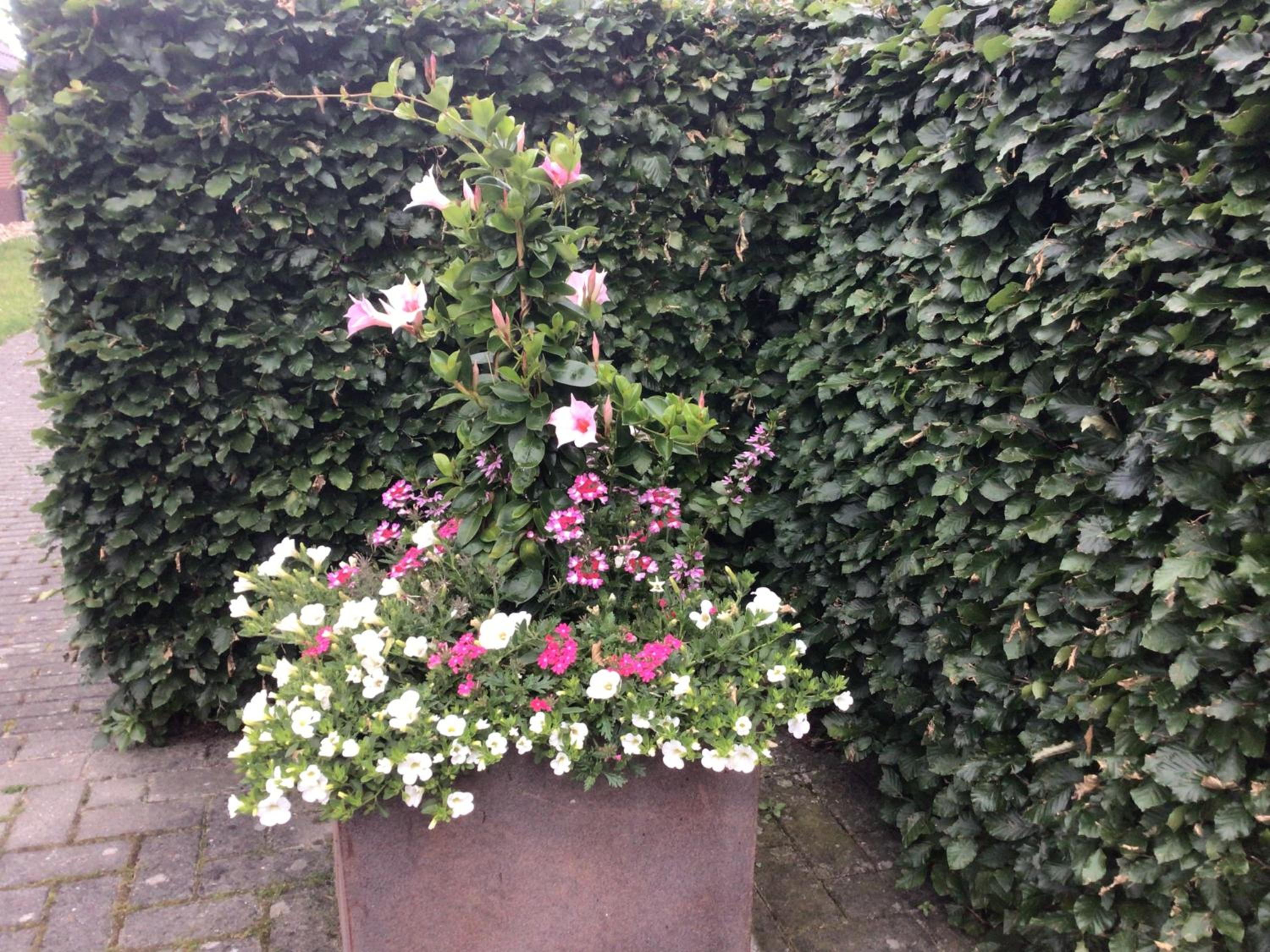 B&B De Veluwe Hoeve view 4
