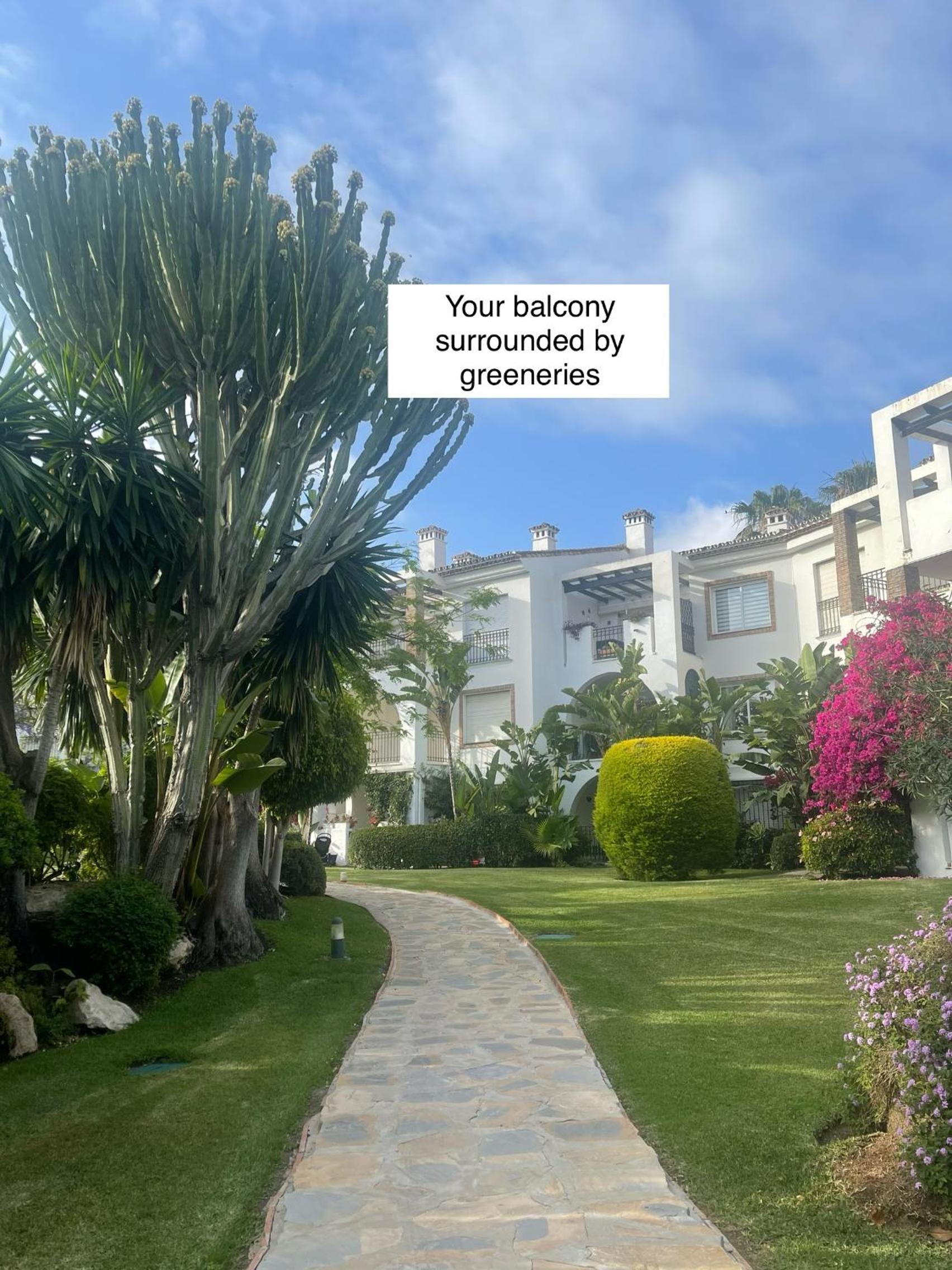Beachfront Escape Resort