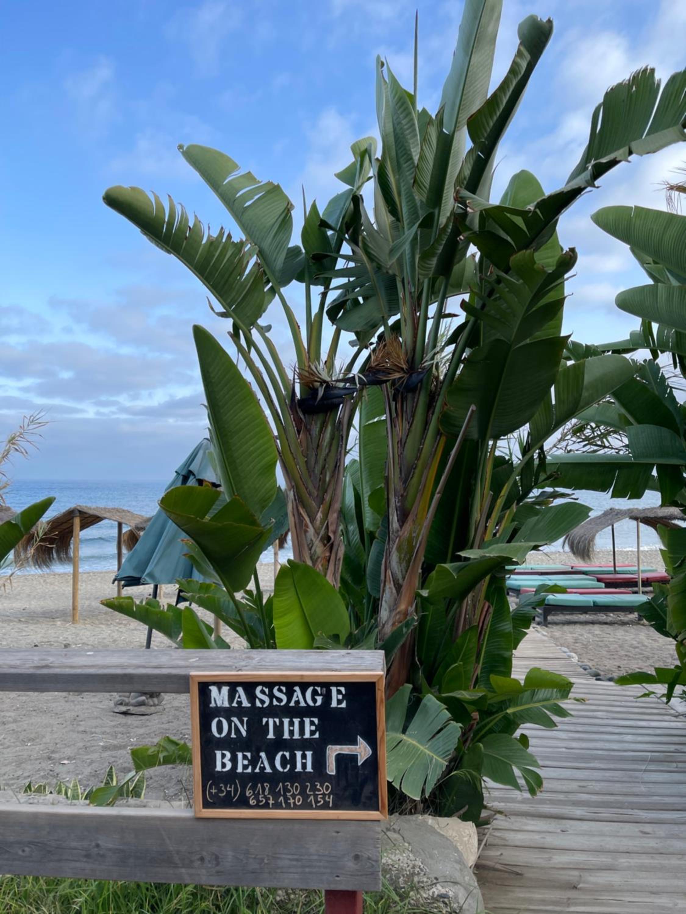 Beachfront Escape Resort