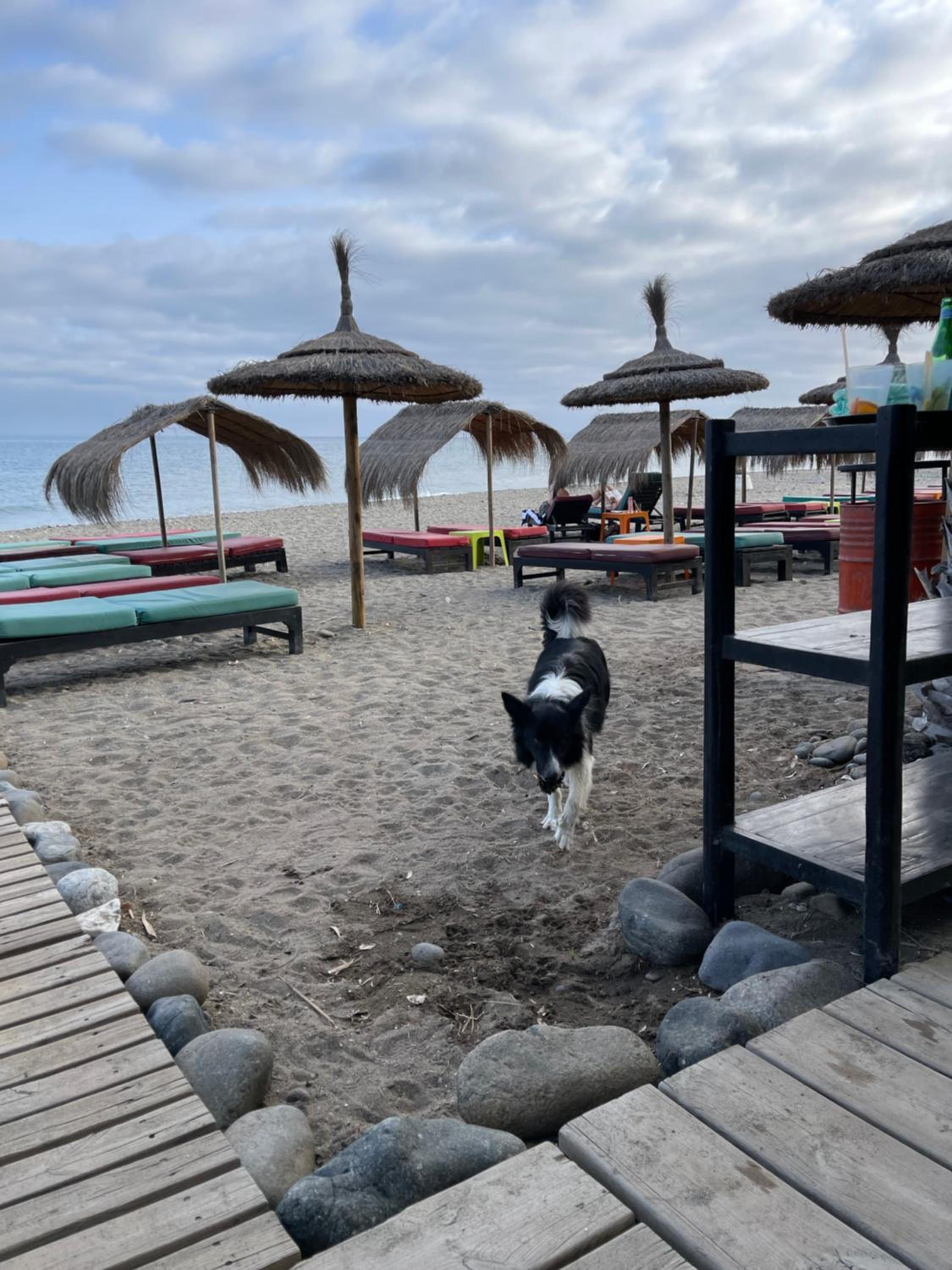 Beachfront Escape Resort