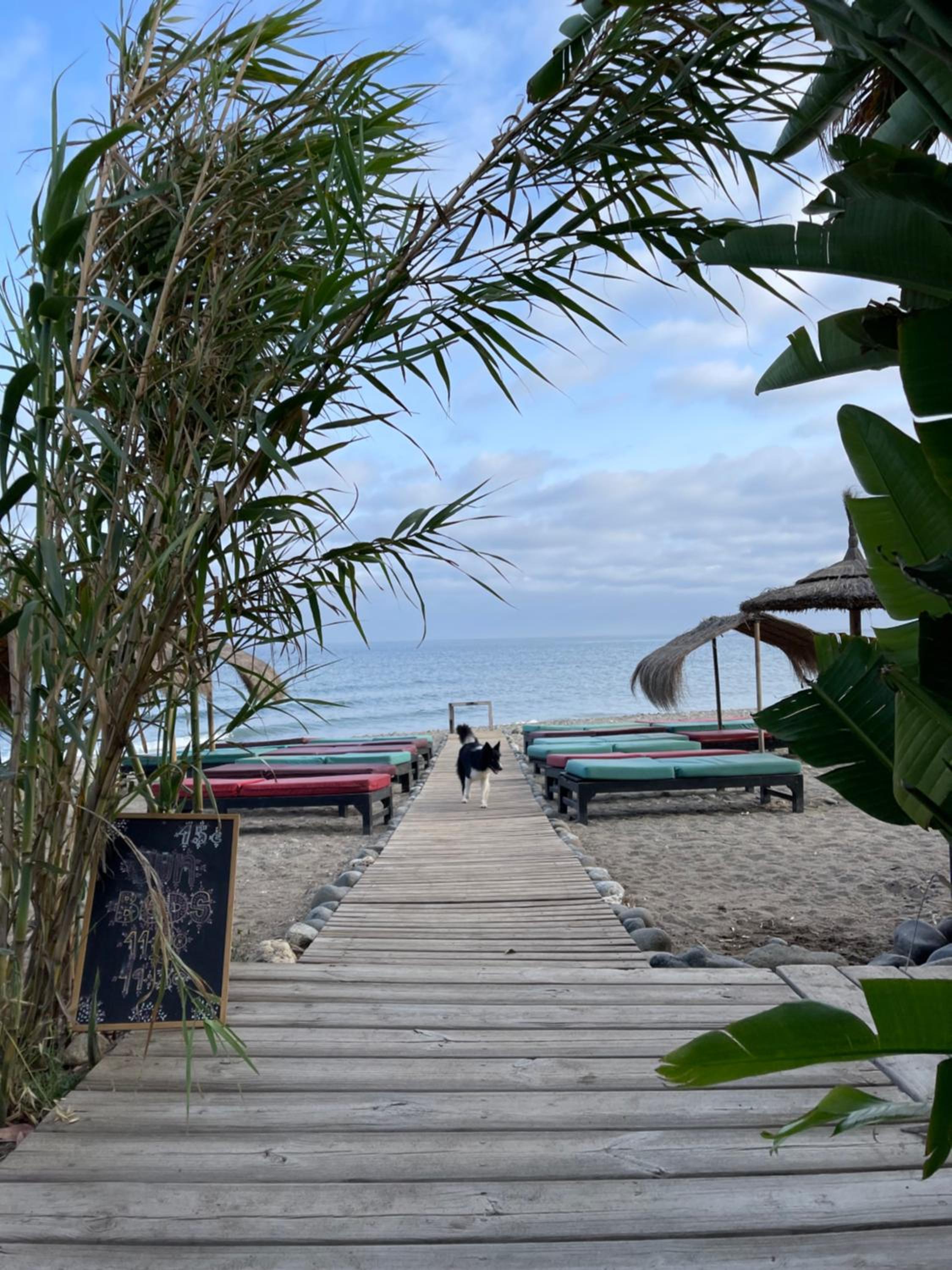 Beachfront Escape Resort