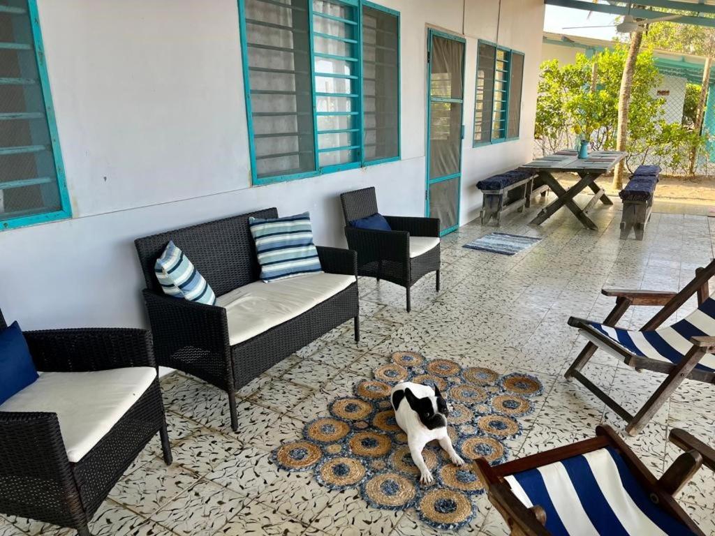 Casa Manglar