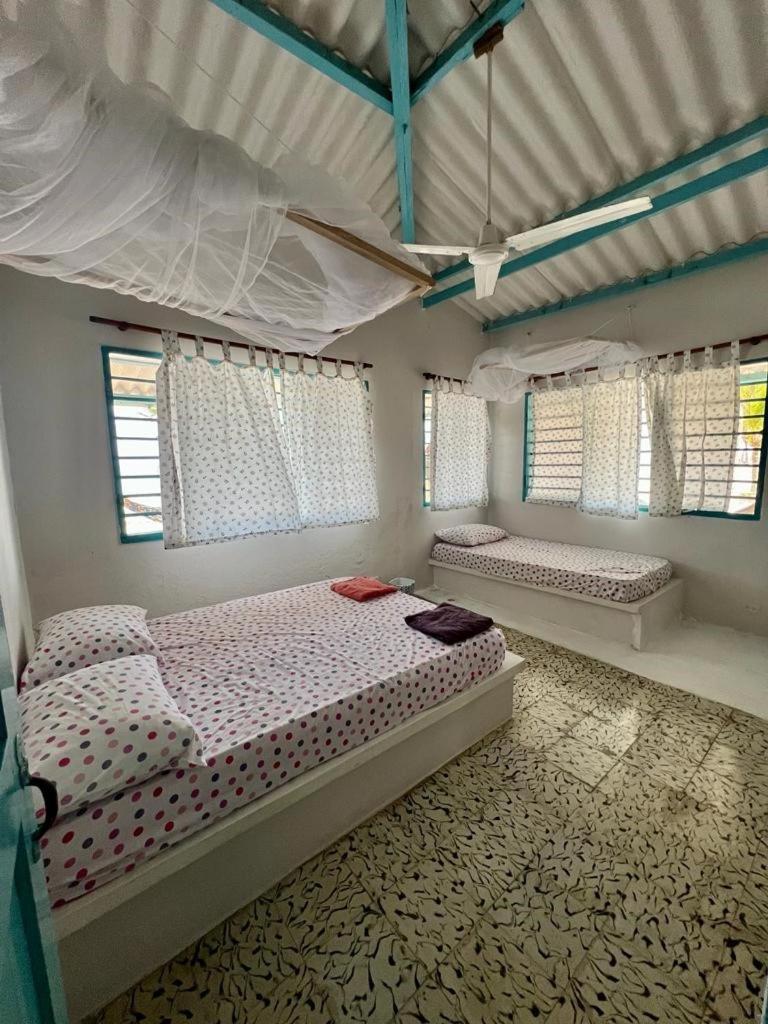 Casa Manglar