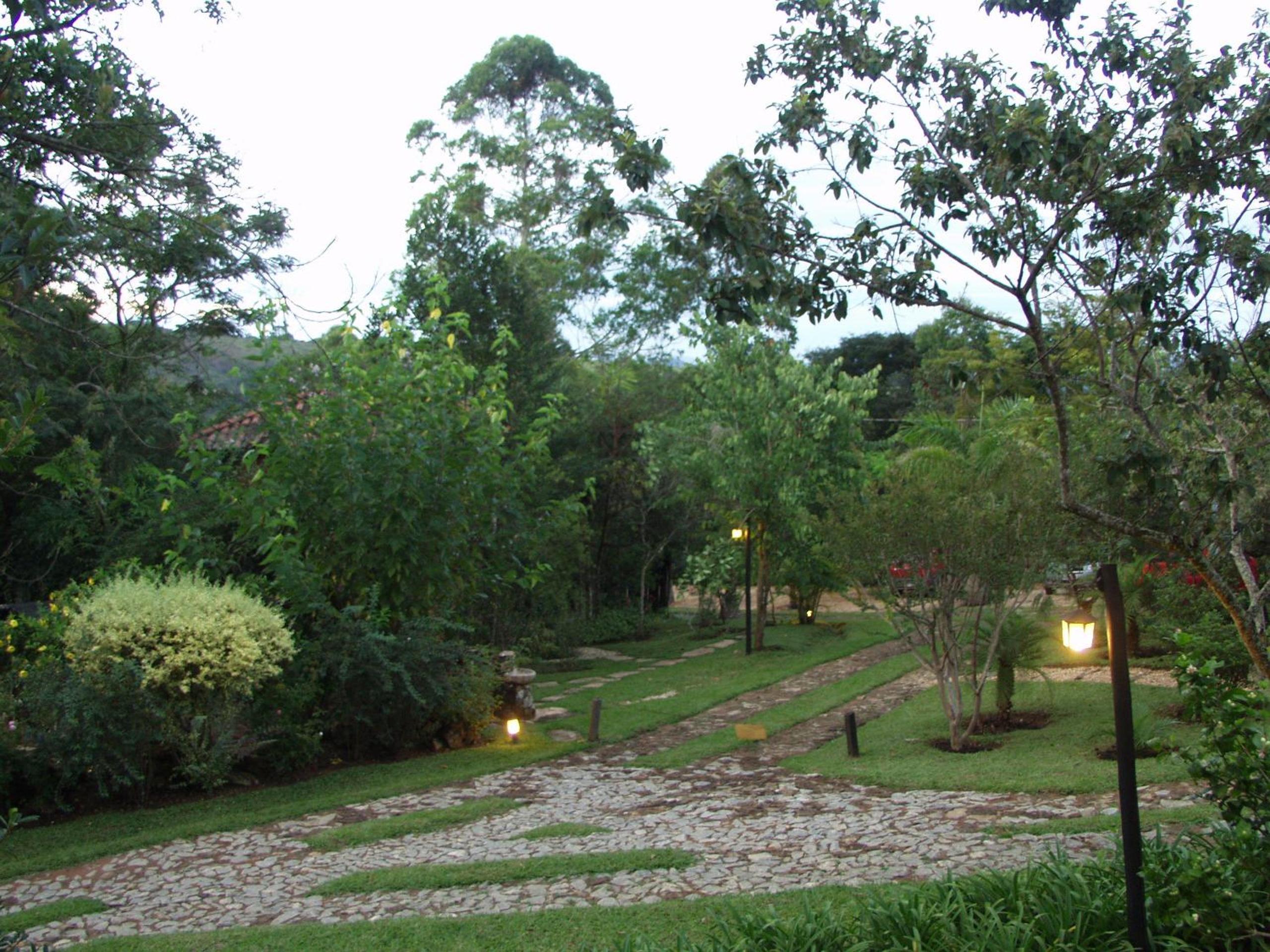 Photo 40